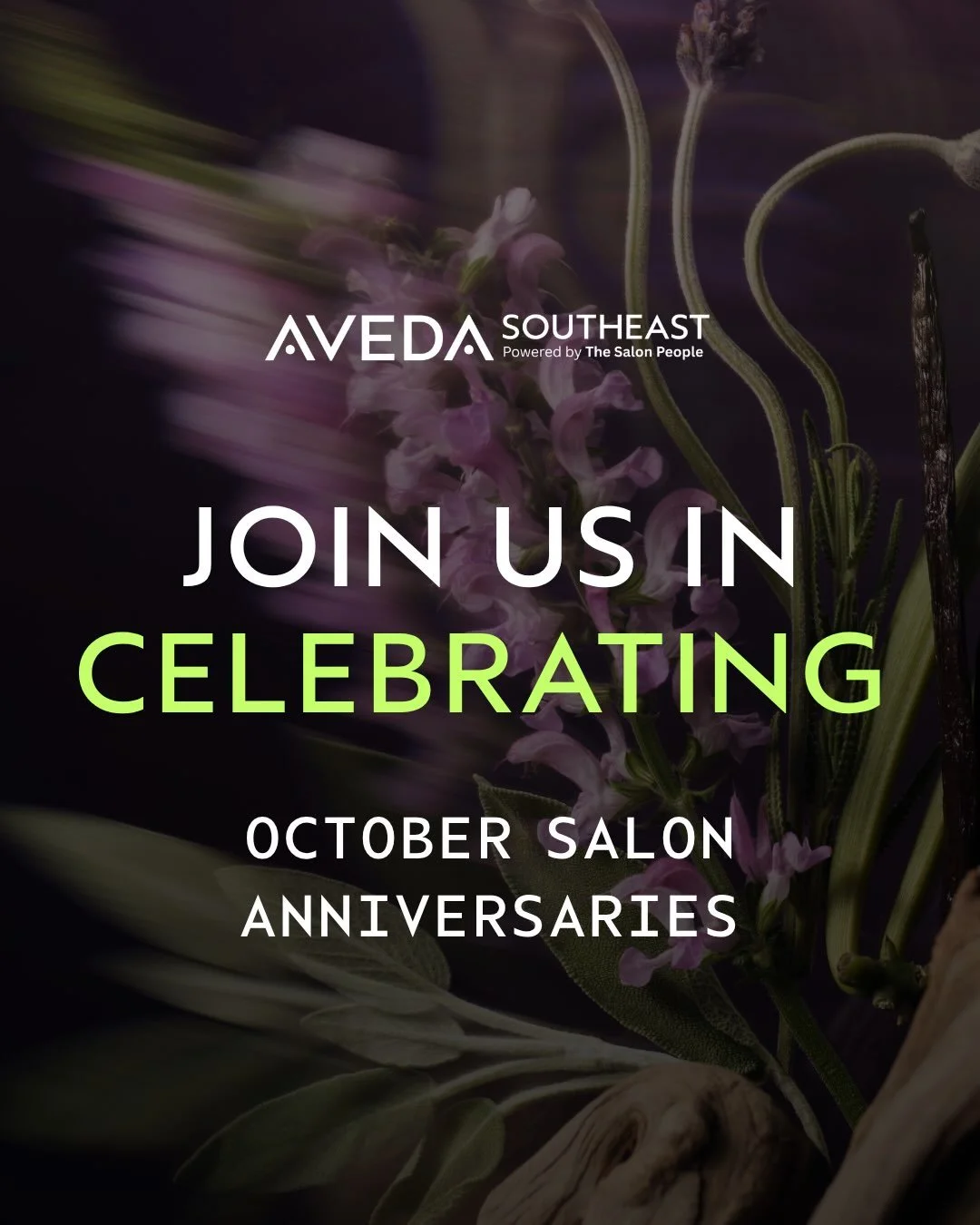🖤 Celebrating Our October Salon Milestones 🖤

Today, we&rsquo;re celebrating the incredible salons in our network reaching milestone anniversaries! Your leadership, passion, and commitment to care embody everything AVEDA stands for - artistry, purp