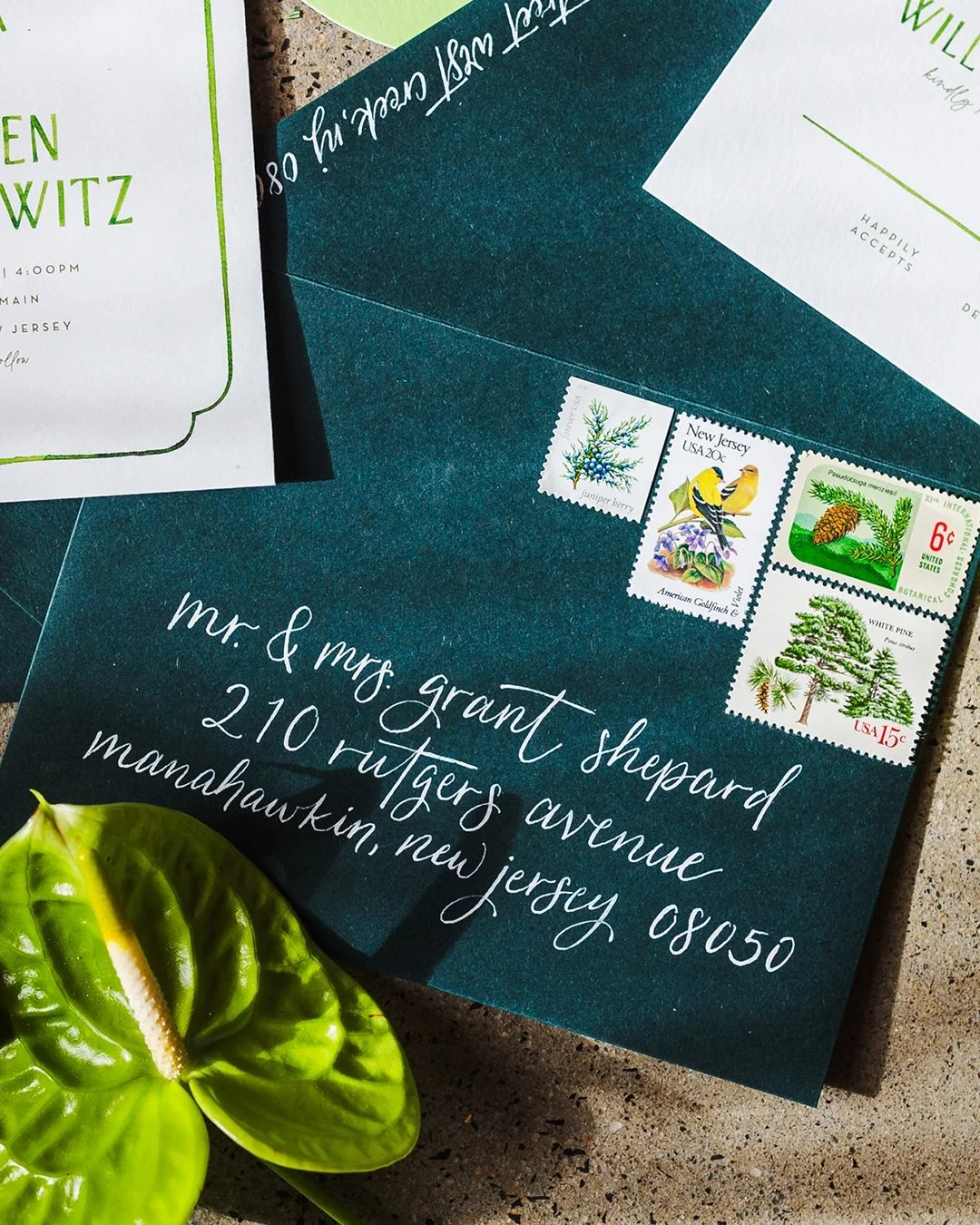 Palette to Postage. Making every detail intentional.
.
Venue @thefarmonmain
Photo @anncoenphotography
Florals @wildflowerfarmflorals
Dresses @fbmbridal @atelierbeccar
Stationery &amp; Signage @crispbybritt
Cakes @honeybloom.bakery
Hair &amp; Makeup @