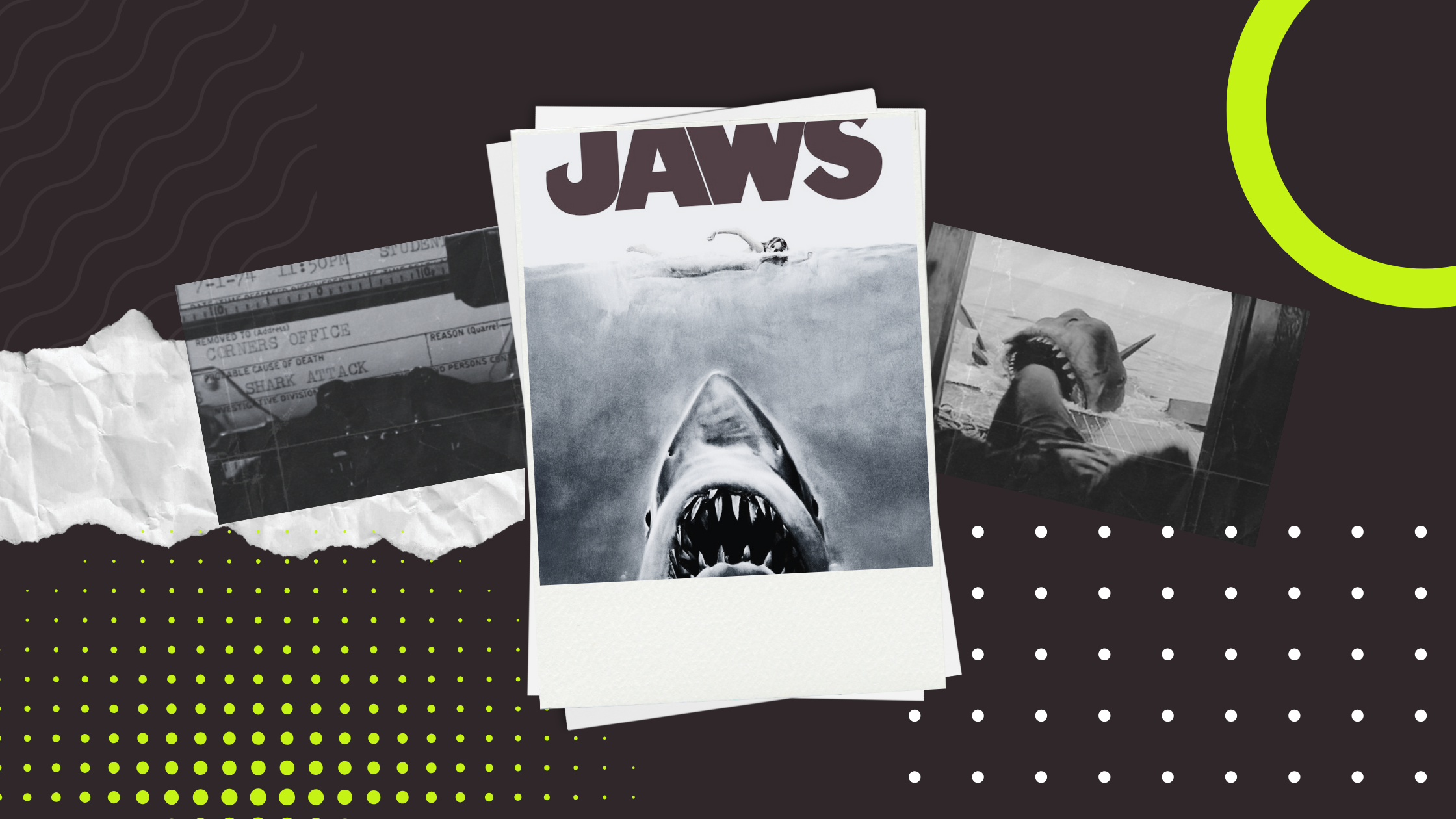 Jaws Script Analysis: The Endless Fight for Control