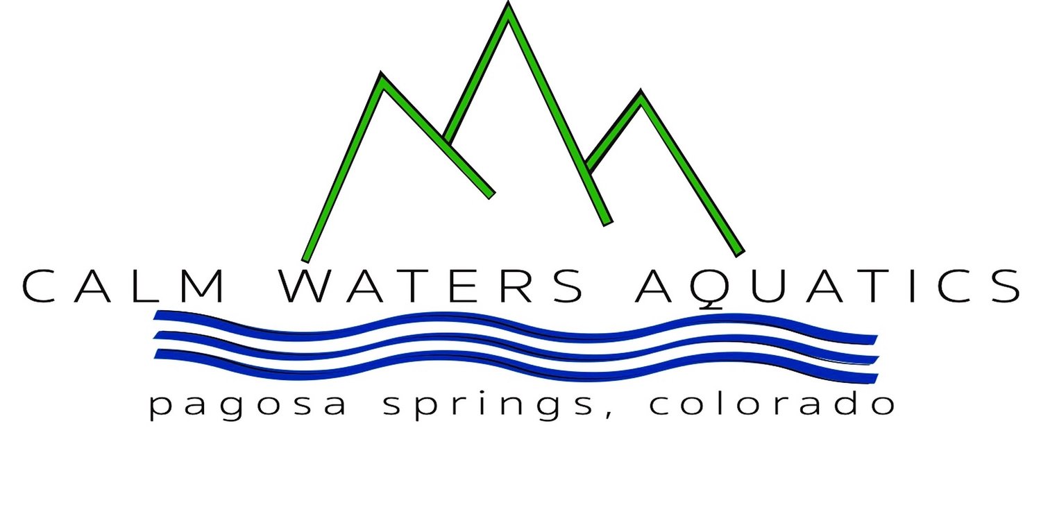 Calm Waters Aquatics