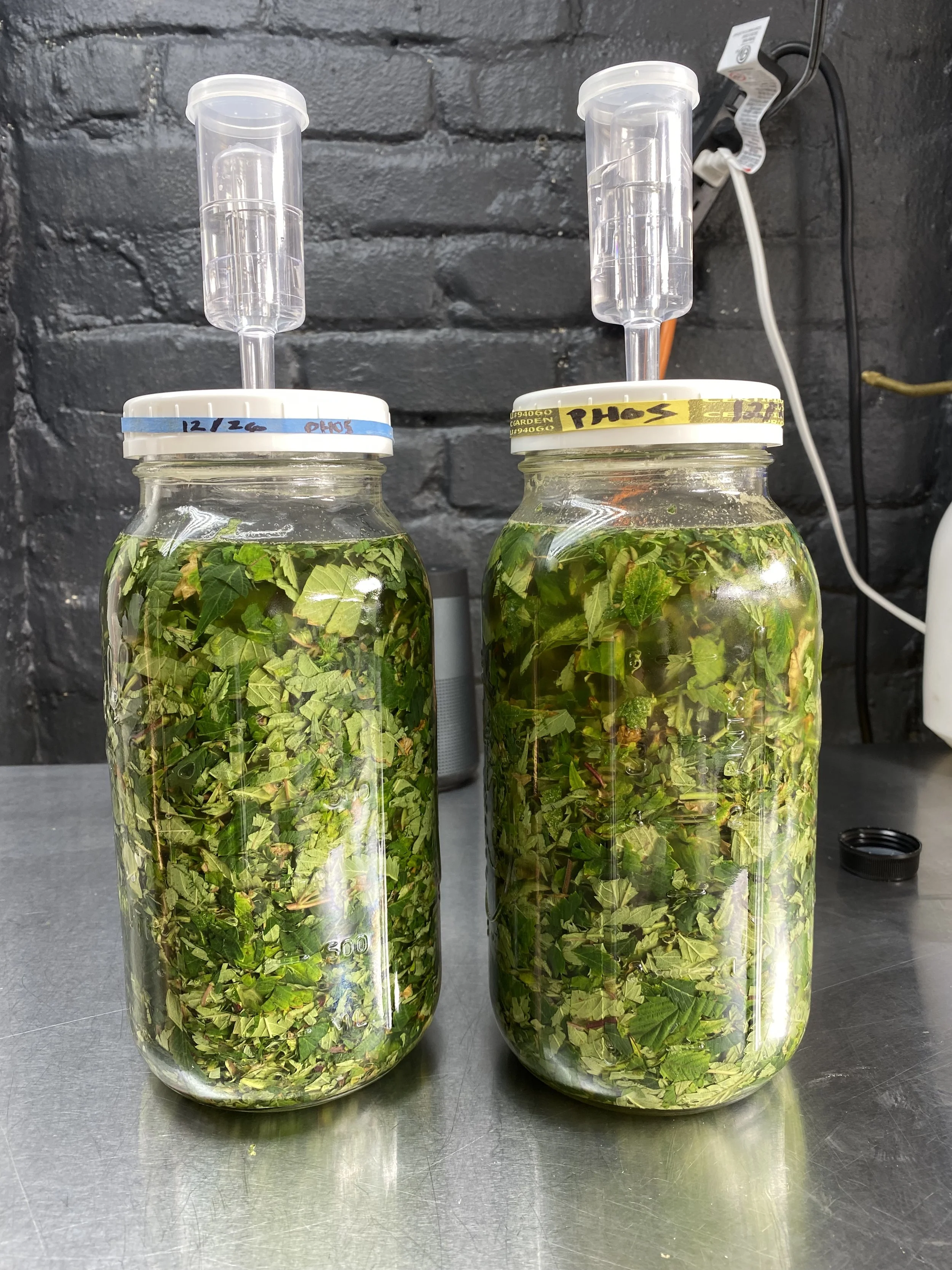 Organic Ferments help create a living soil for pest management and nutrient absorption through bacteria  