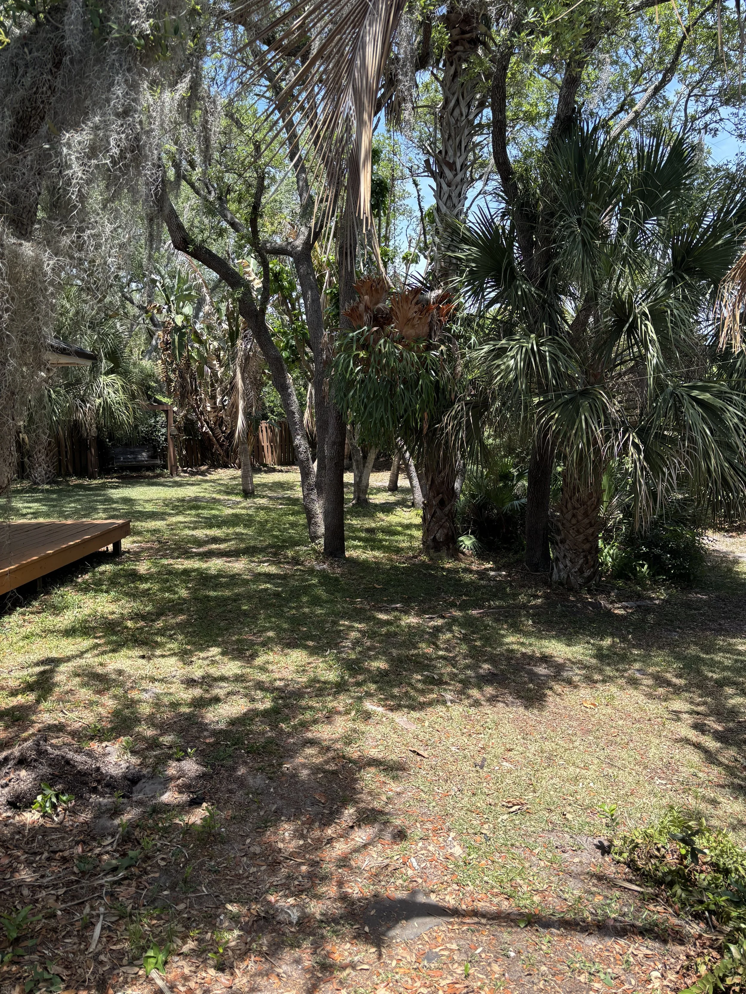 IMG_0174.jpeg
