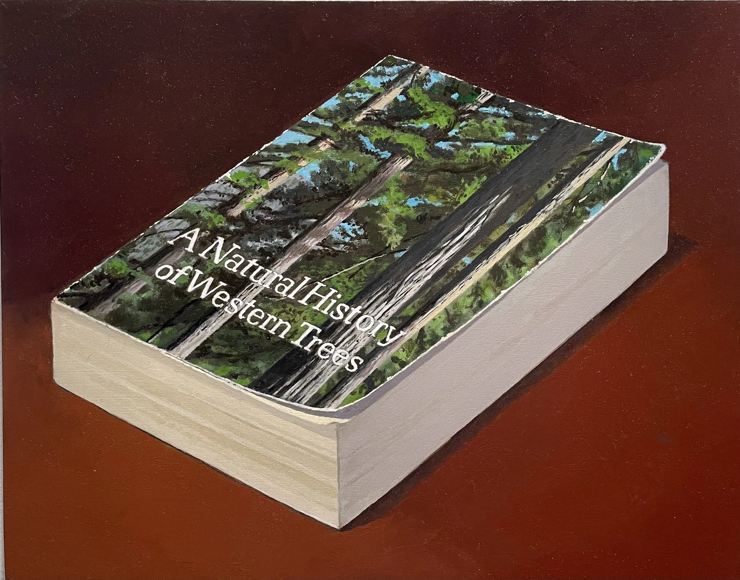 A Natural History of Western Trees 2025  oil on panel 11 x 14 inches