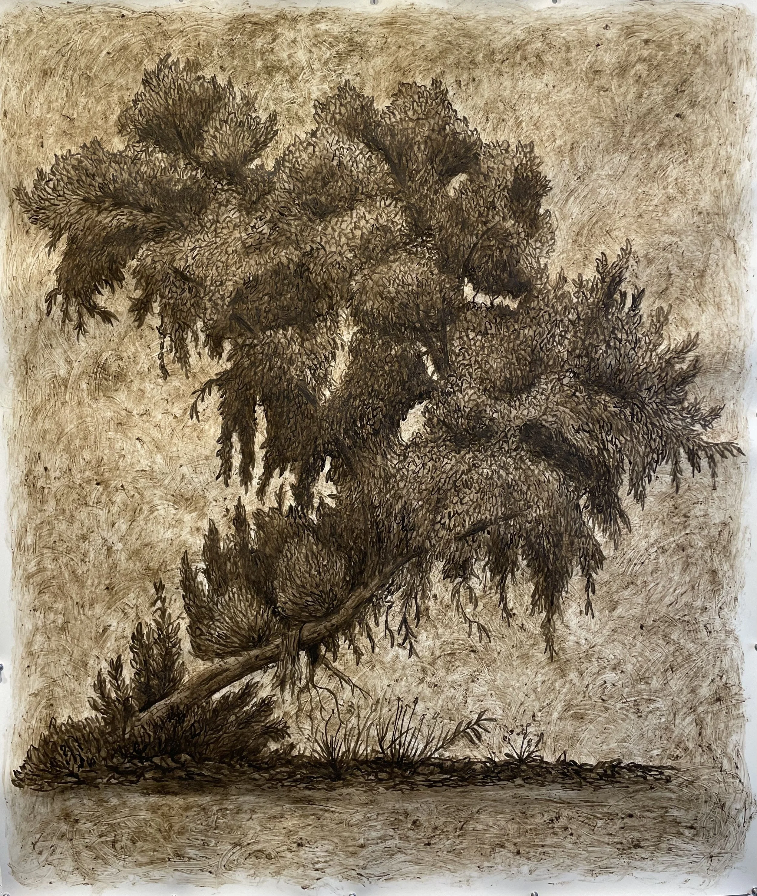 Untitled 2024 Los Angeles River silt, ink and cold wax on paper 52 x 42 inches