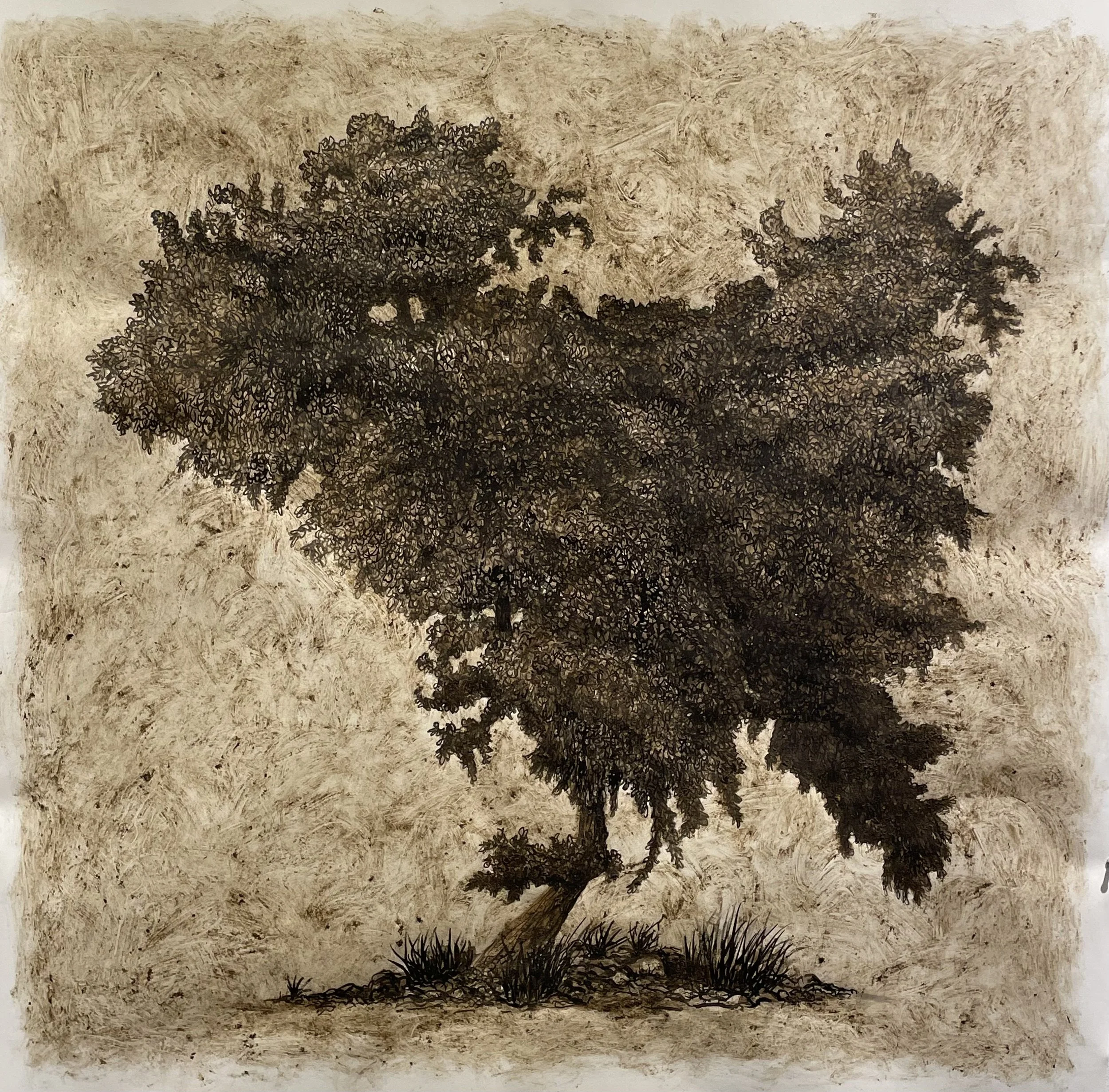 Untitled 2023 Los Angeles River silt, ink and cold wax on paper 36 x 36 inches