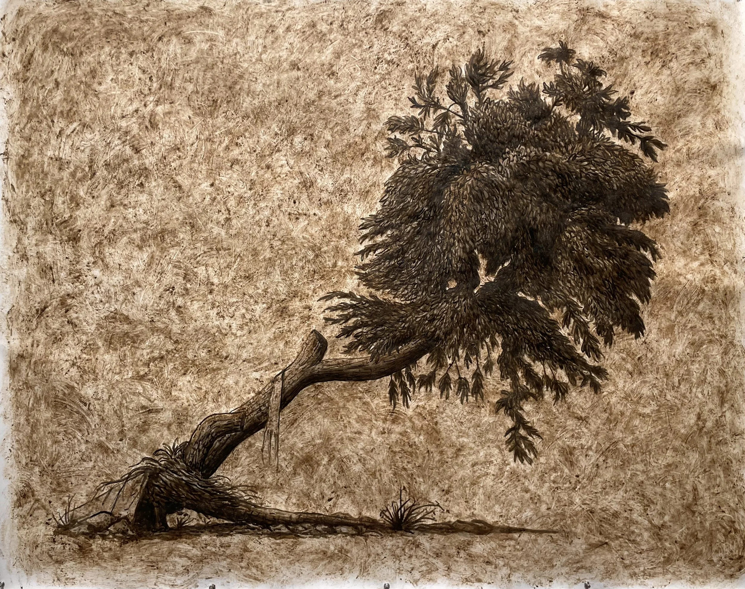 Untitled 2023 Los Angeles River silt, ink and cold wax on paper 42 x 53 inches