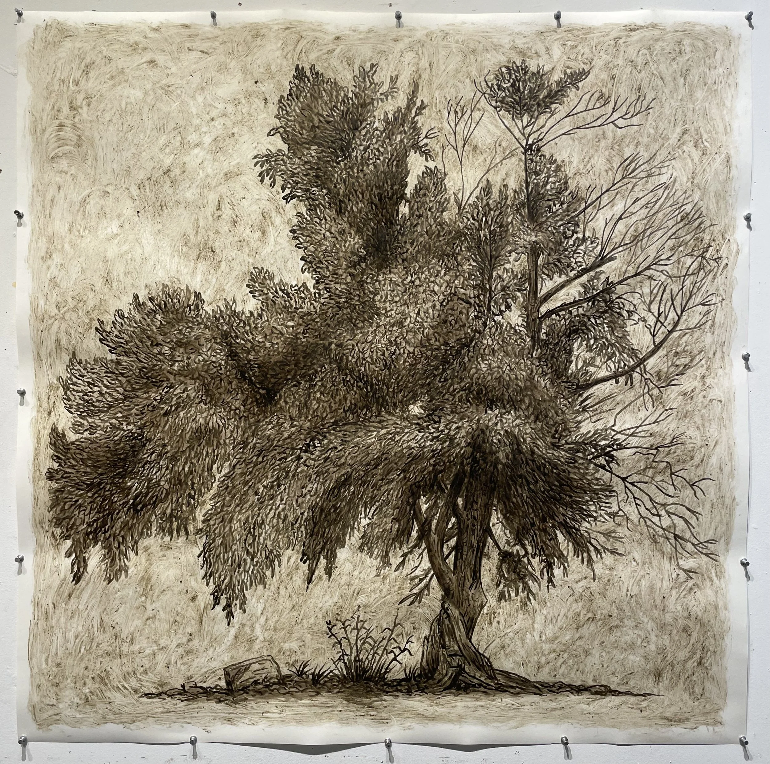 Untitled 2024 Los Angeles River silt, ink and cold wax on paper 42 x 42 inches