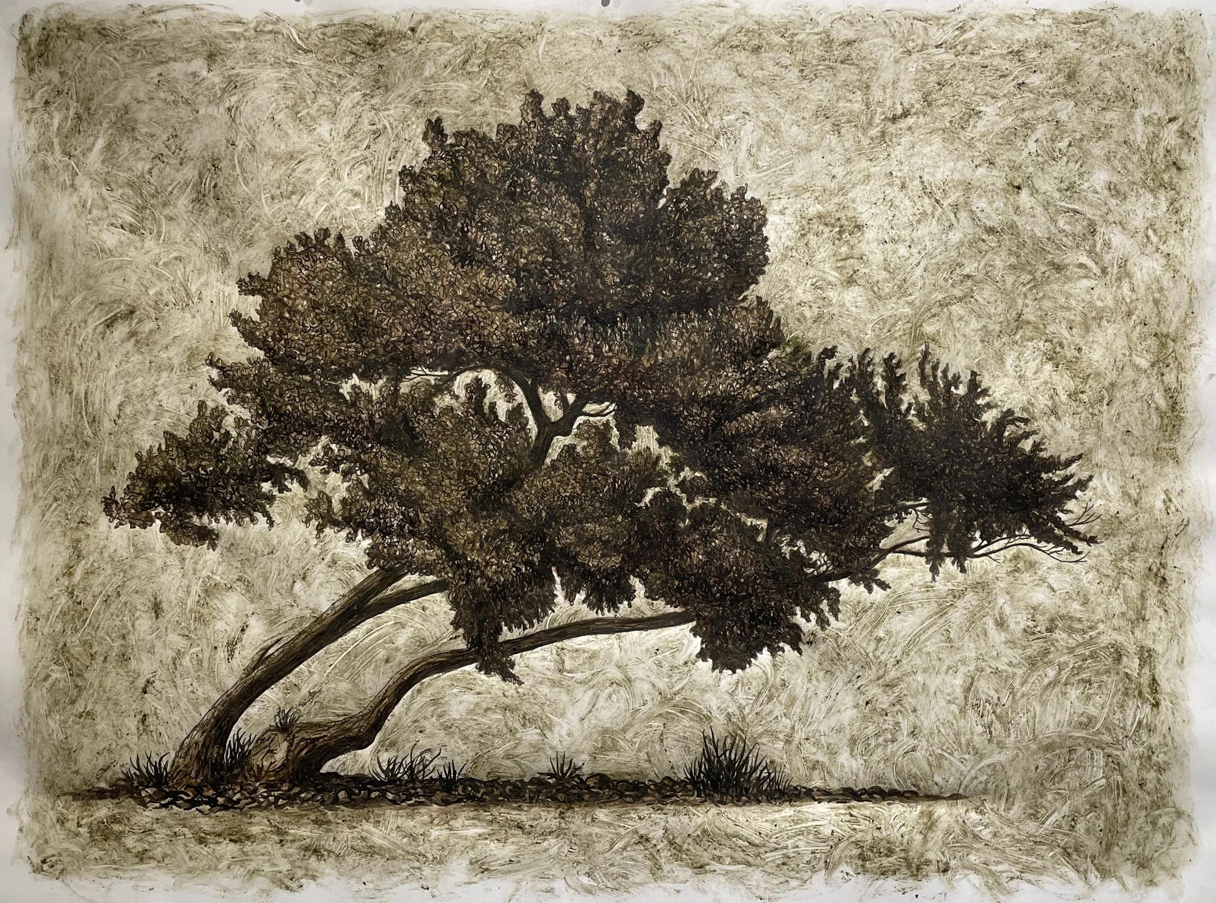 Untitled 2023 Los Angeles River silt, ink and cold wax on paper 36 x 36 inches