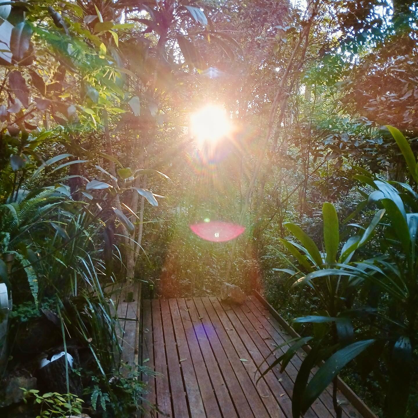I love receiving photos from my Airbnb guests of how they connect to Feathertail. This one came to me with the title &lsquo;magic&rsquo; and some poetry that reflected our shared conversations around the beauty of going on unexpected journeys in our 
