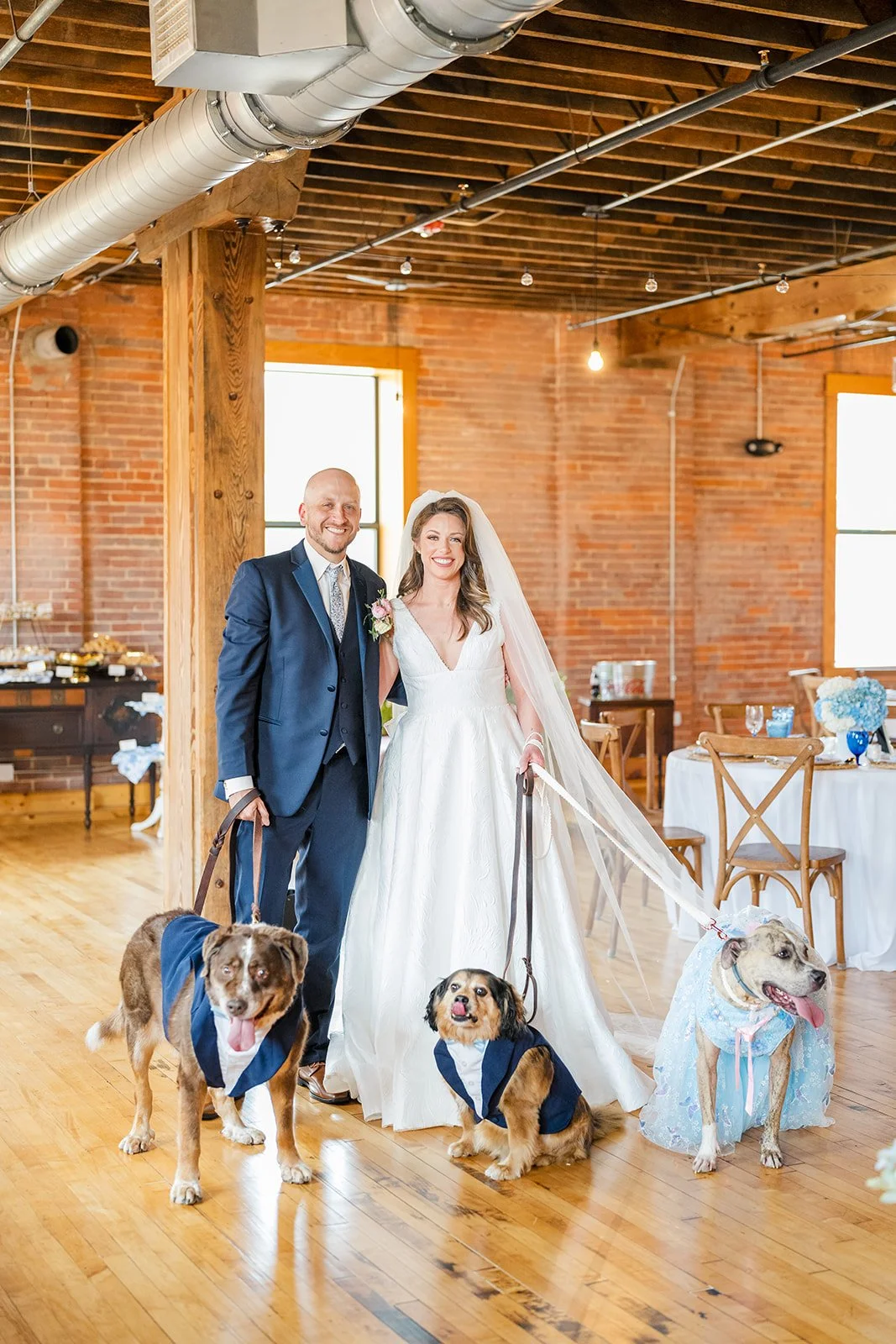 Bride and groom with three dogs dressed in wedding attire inside a rustic venue with brick walls and wooden beams.