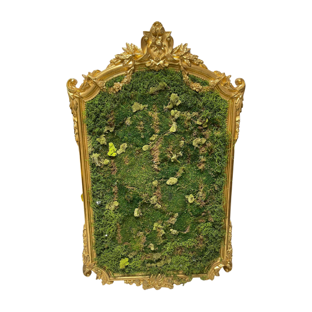 Moss Mirror