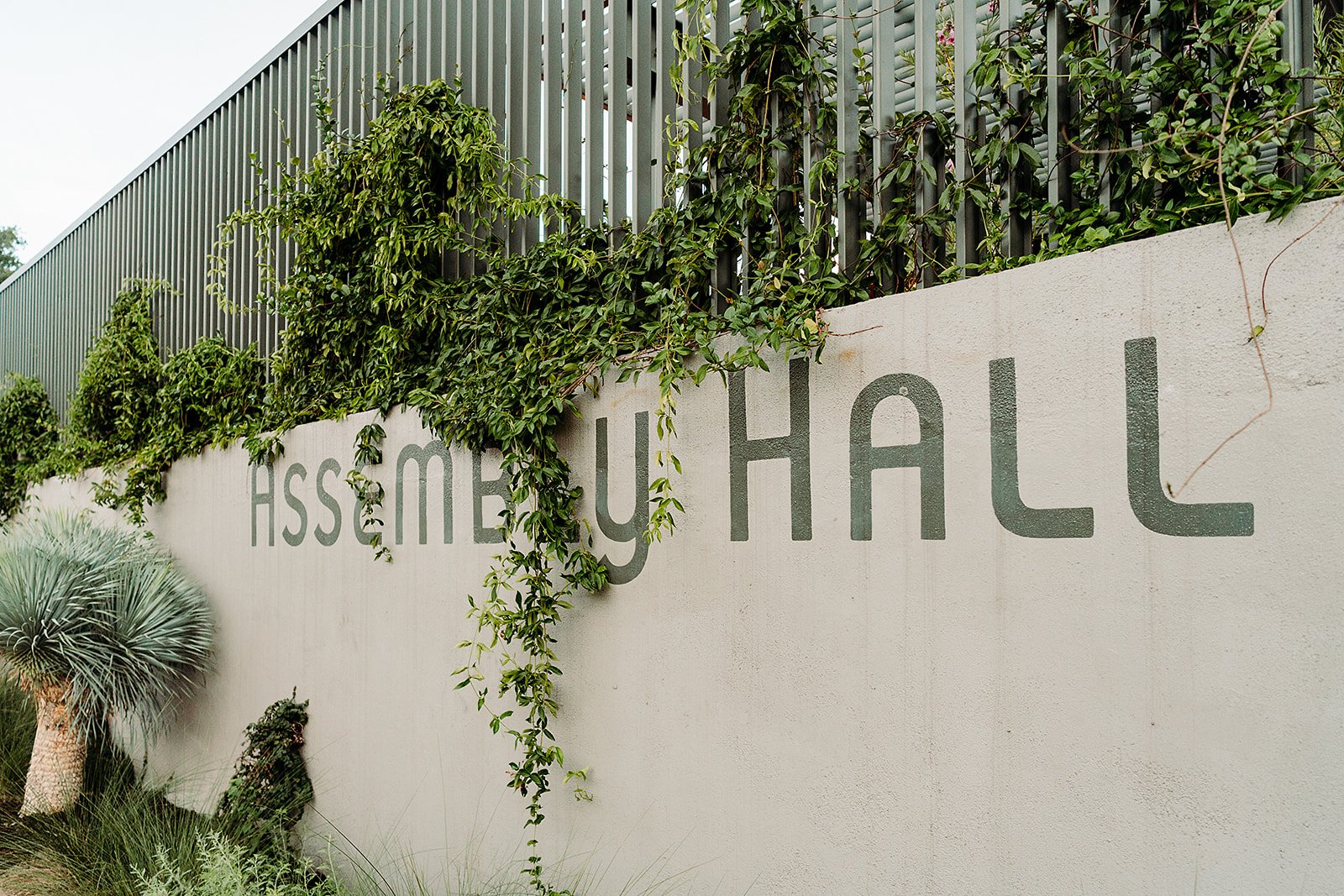 Jason-and-Julie-Wedding-Photographer-Austin-Texas-2025-Riley-Glenn-Photography-706_websize (1).jpg