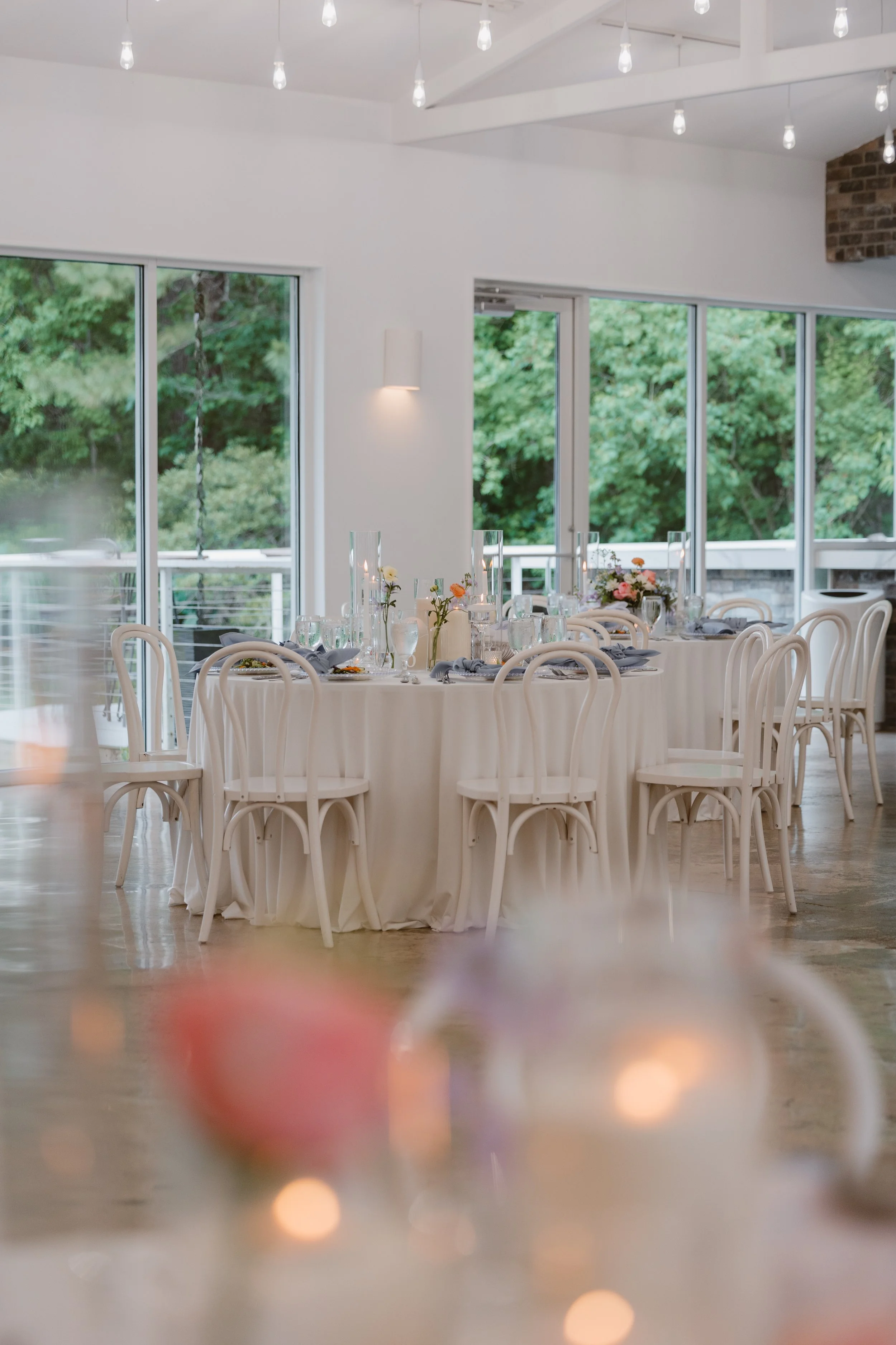 drachman_amylindemannphotography-65.jpg