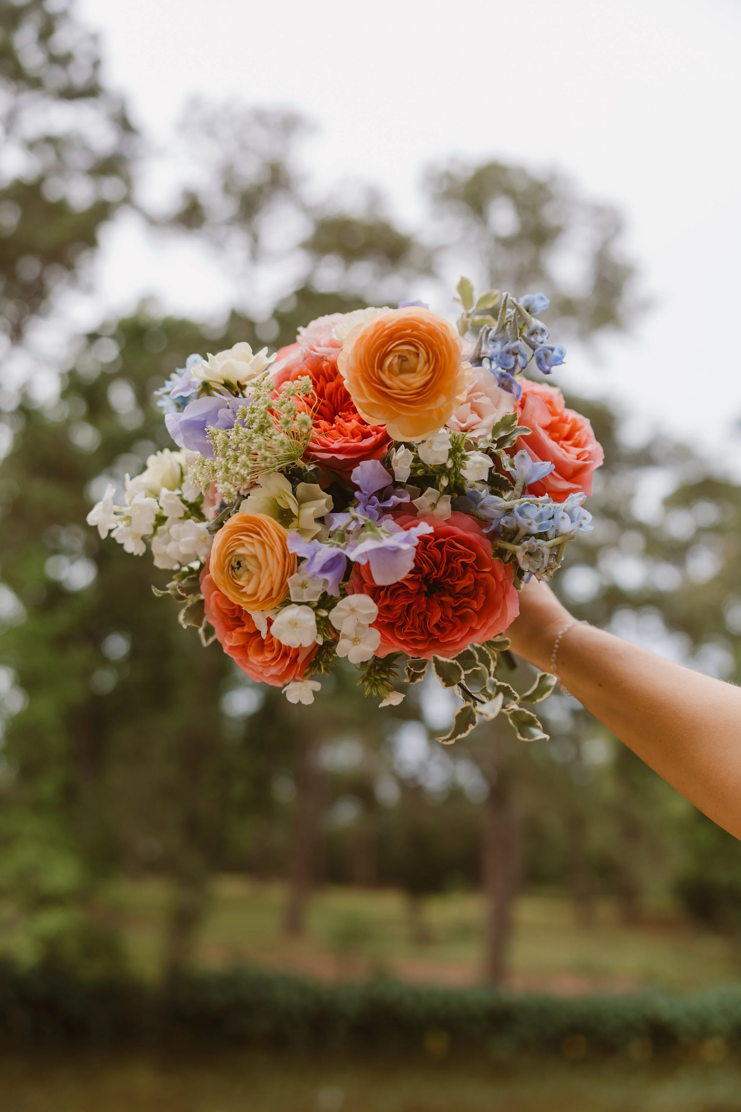 drachman_amylindemannphotography-58.jpg