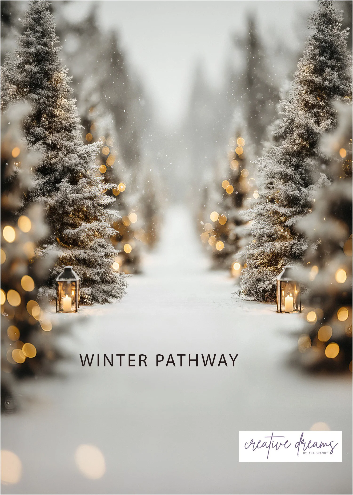 Winter Pathway.jpg (Copy)