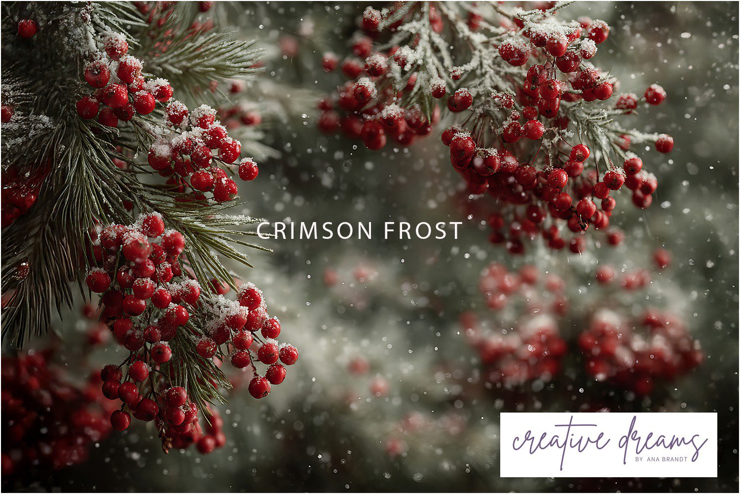 Crimson Forest.jpg (Copy)