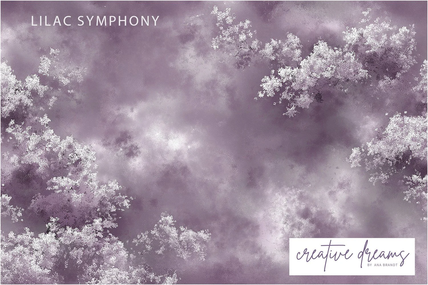 Liliac Symphony.jpg (Copy)