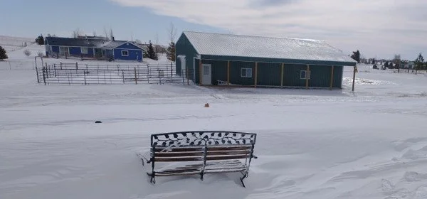 Winter 2026: Walking with the Wounded