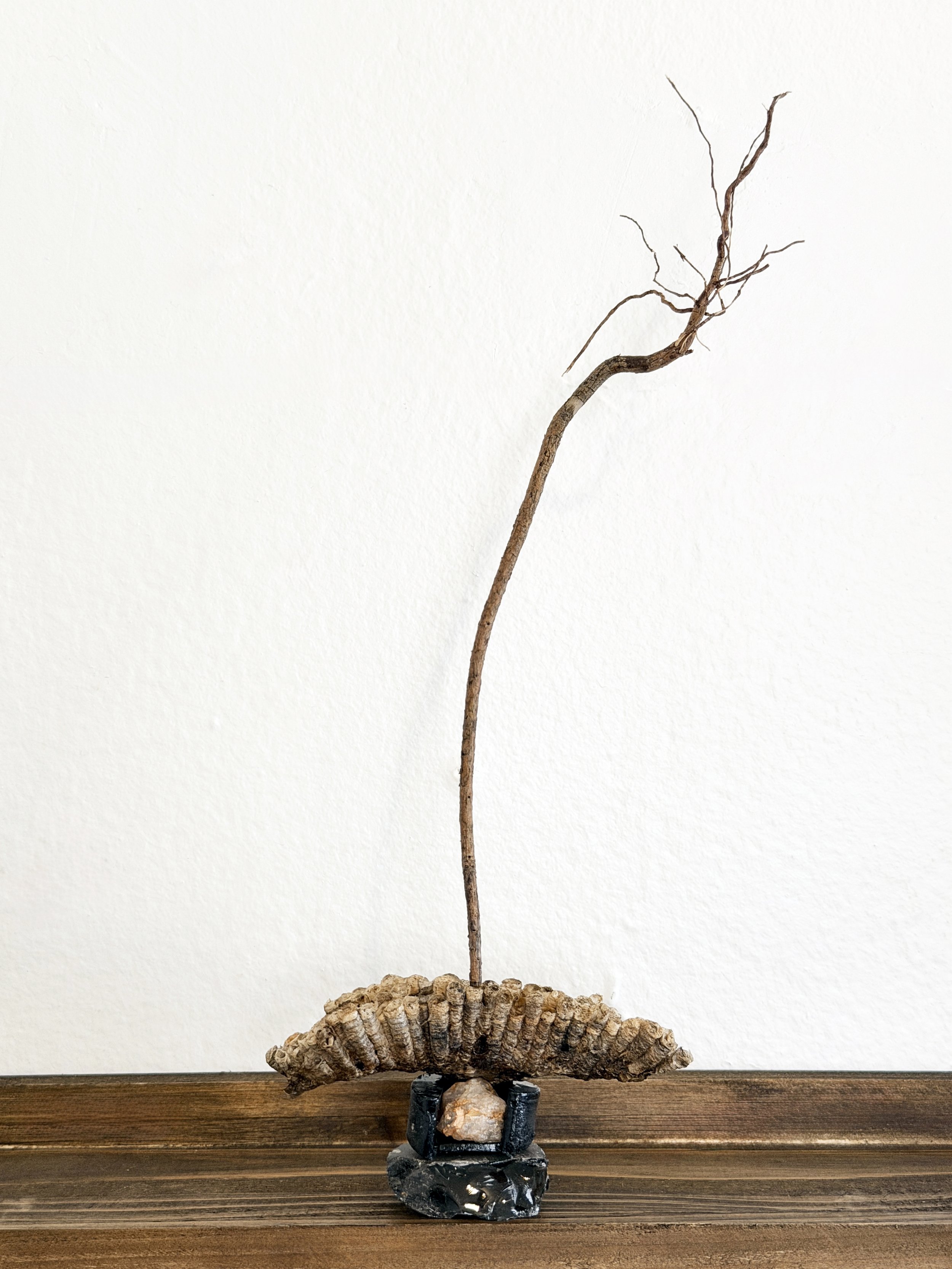 walk sclupture_comb plateau_300dpi_5000px.jpg