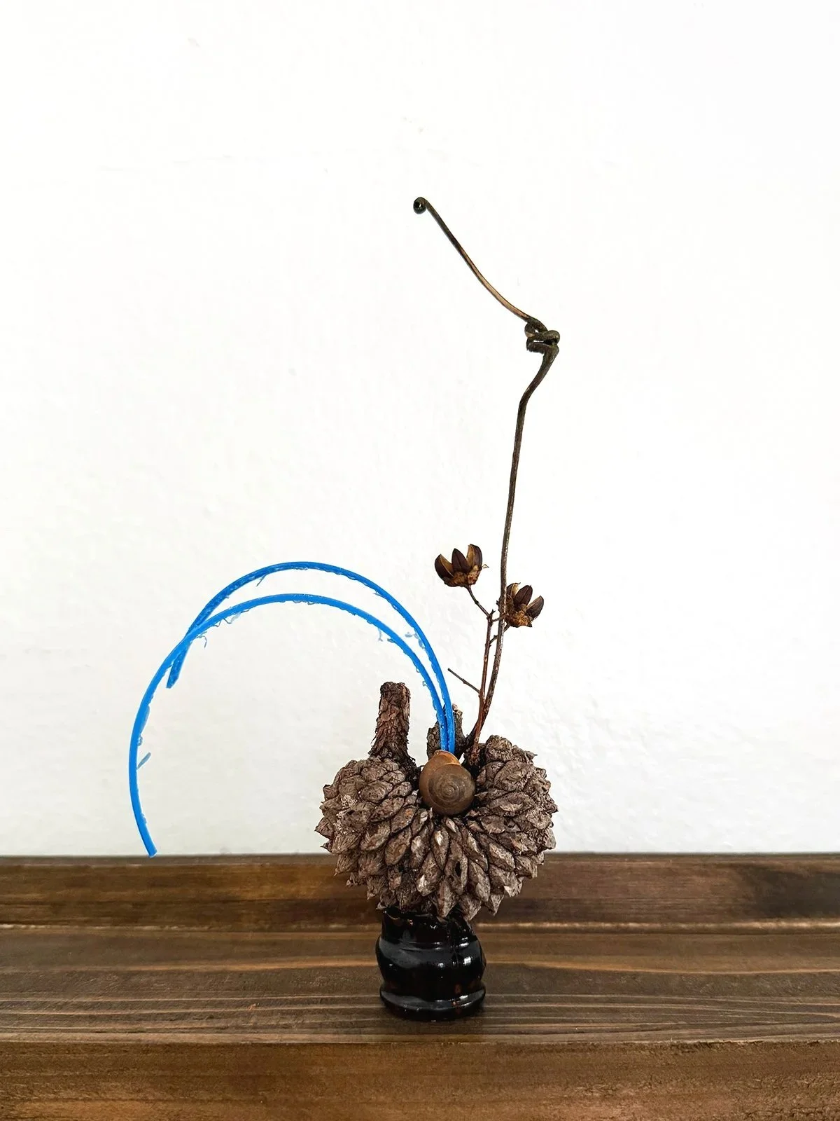 spiral+3_96dpi_1600px.jpg