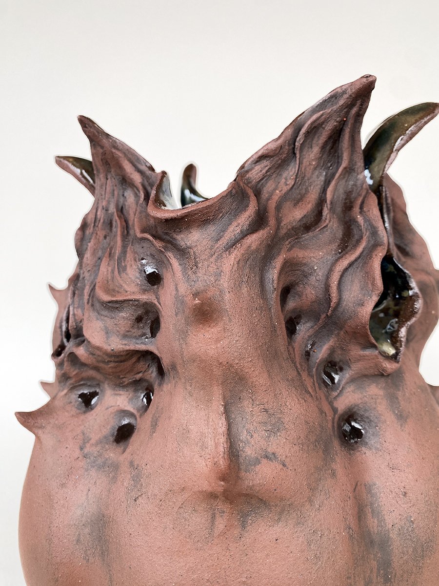 seed pod 1_detail b_72dpi_1200px.jpg