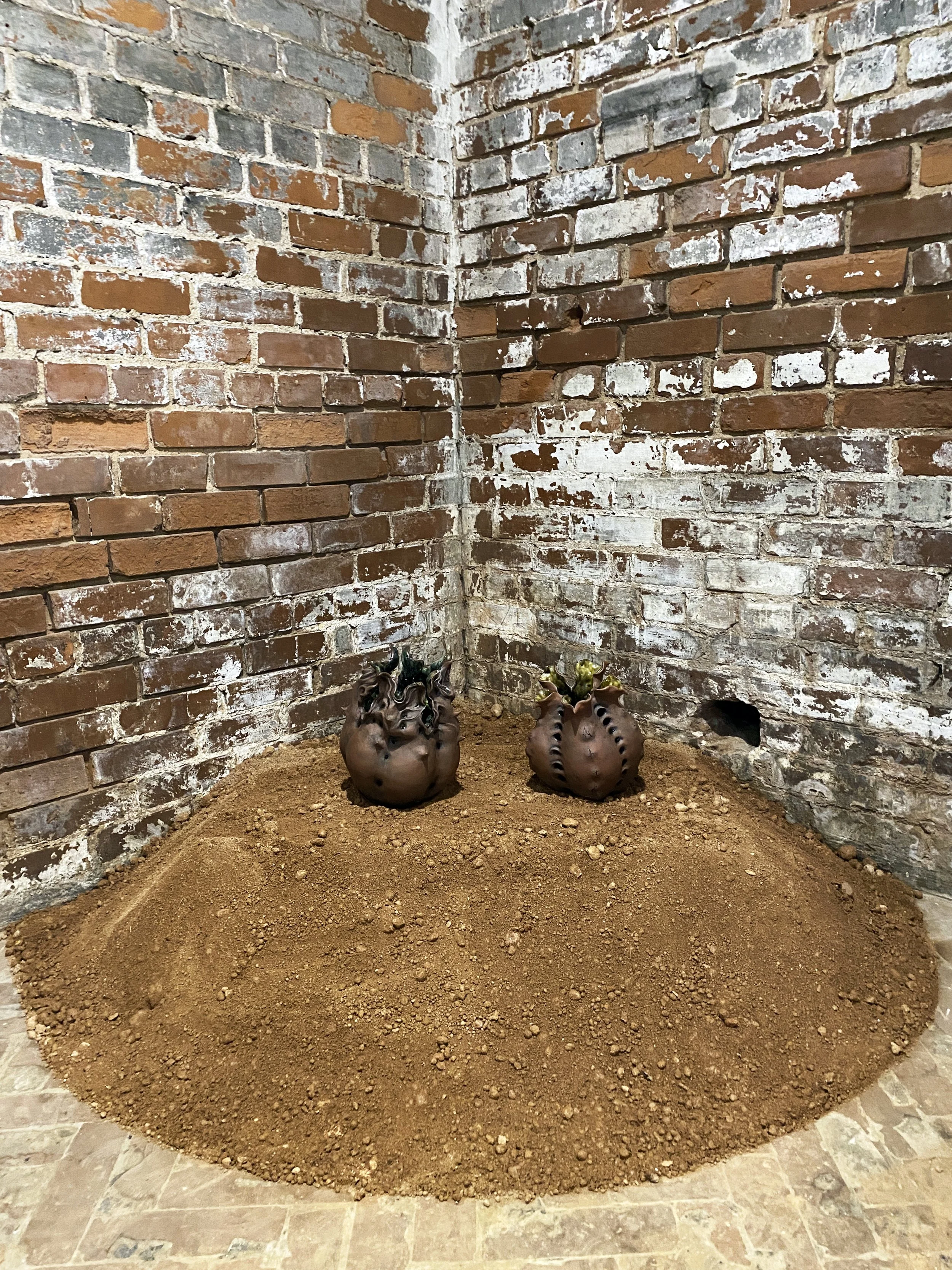 seed pods install_300dpi_5000px.jpg