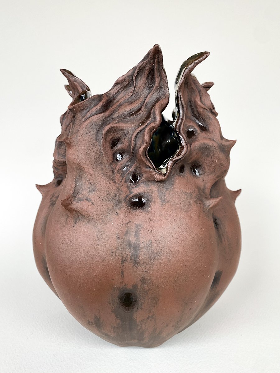 seed pod 1_72dpi_1200px.jpg