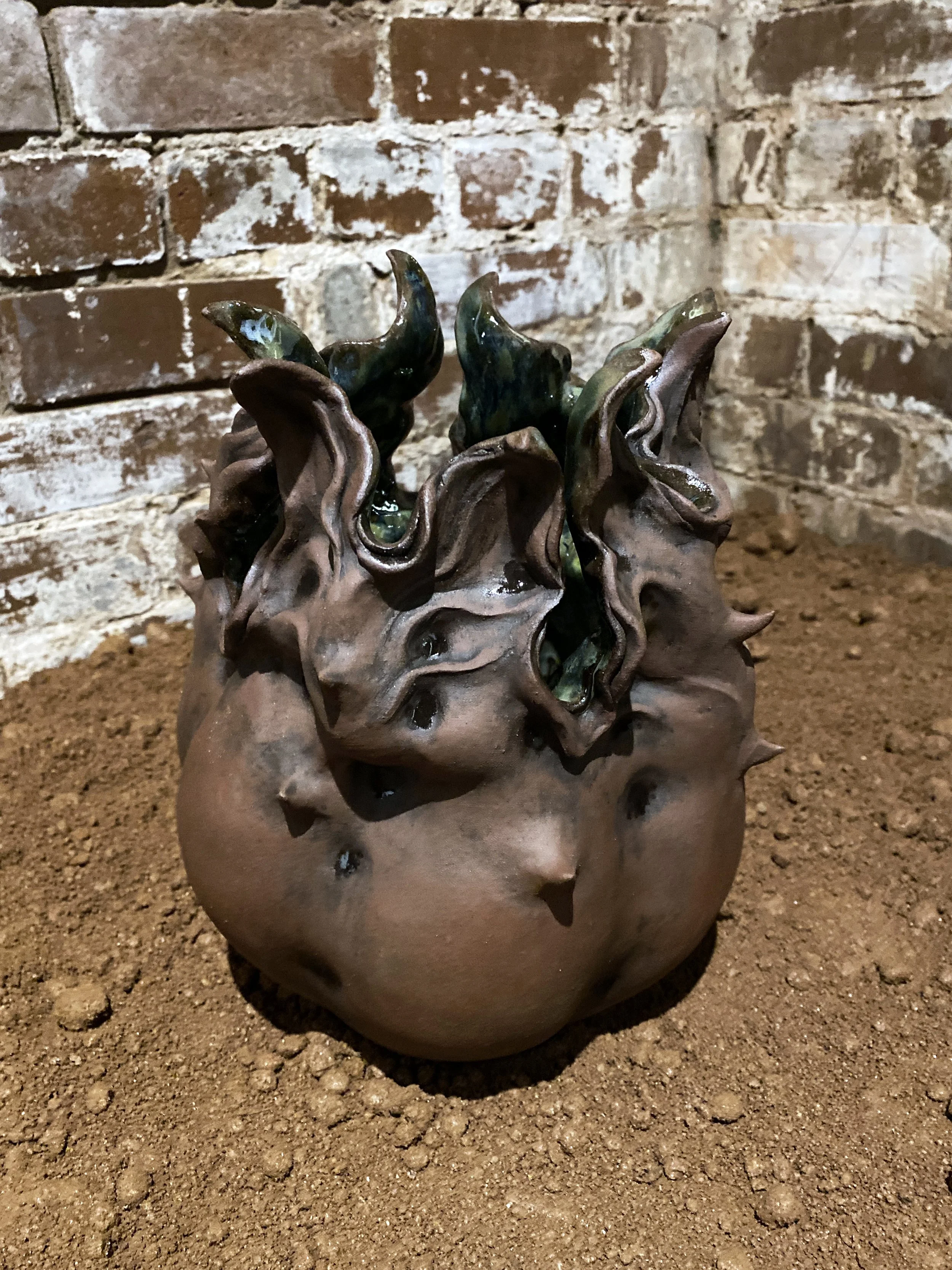 seed pod (horseshoe)_300dpi_5000px.jpg