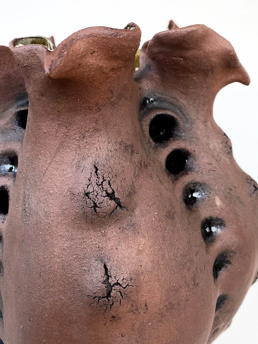 seed pod 2_detail b_72dpi_1200px.jpg