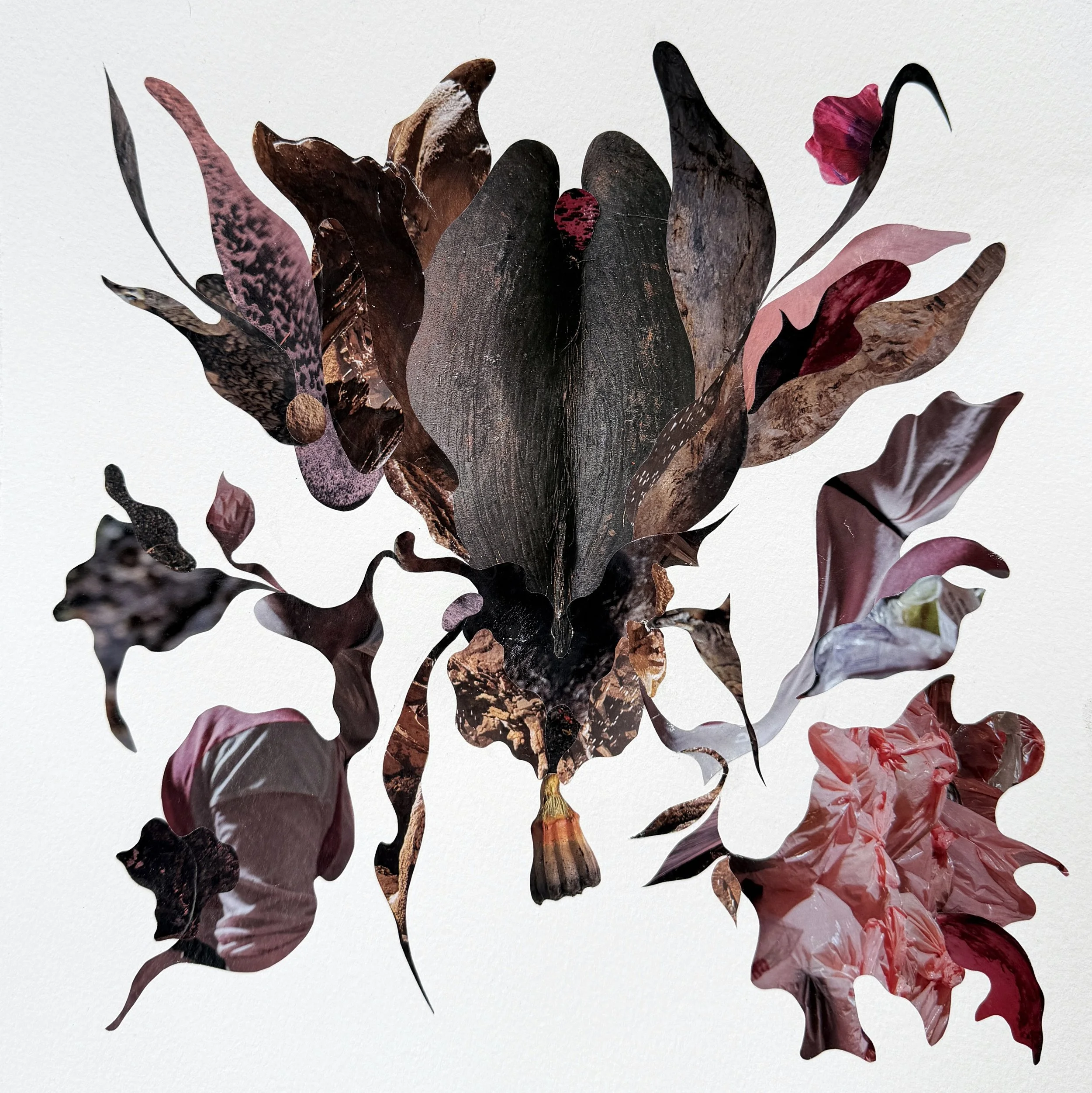uterine bloom_300dpi_5000px.jpg