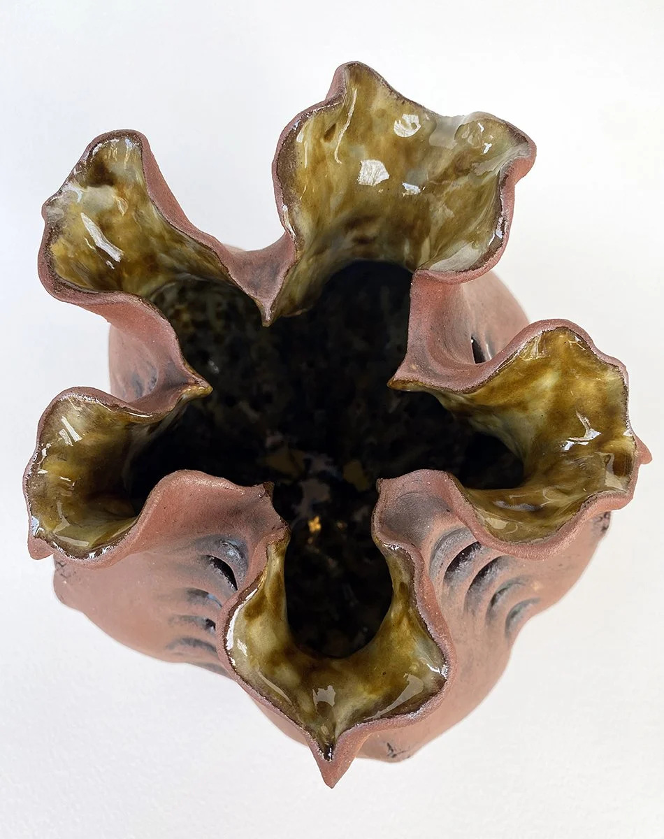 seed pod 2_detail c_72dpi_1200px.jpg