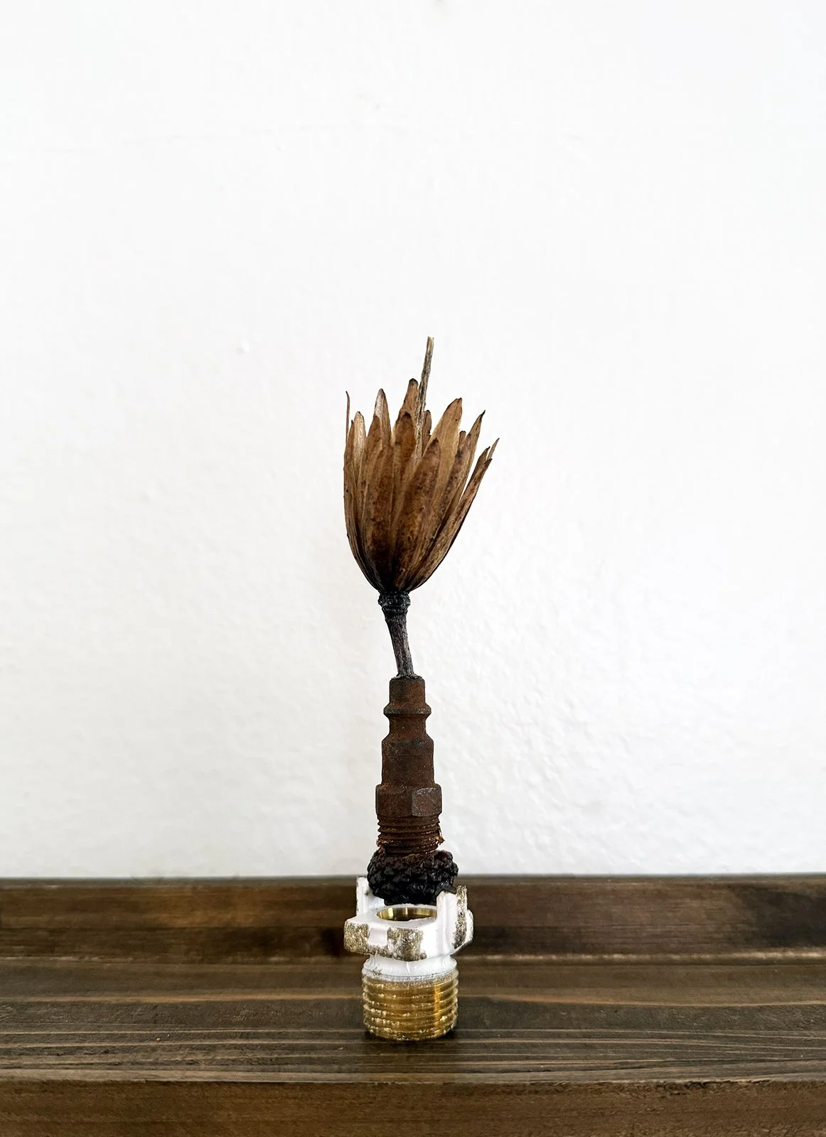 tulip valve 3_96dpi_1600px.jpg