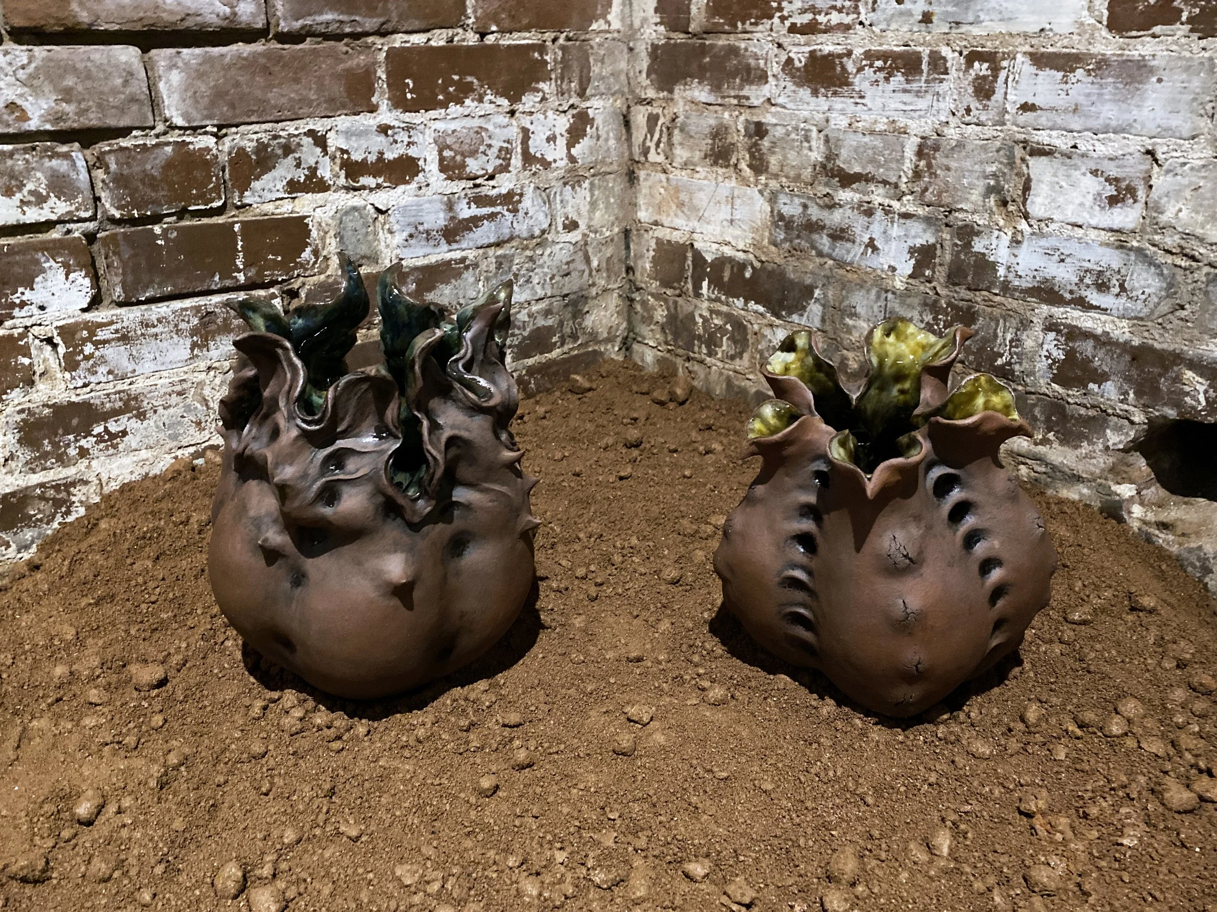 seed pod_install_300dpi_5000px.jpg