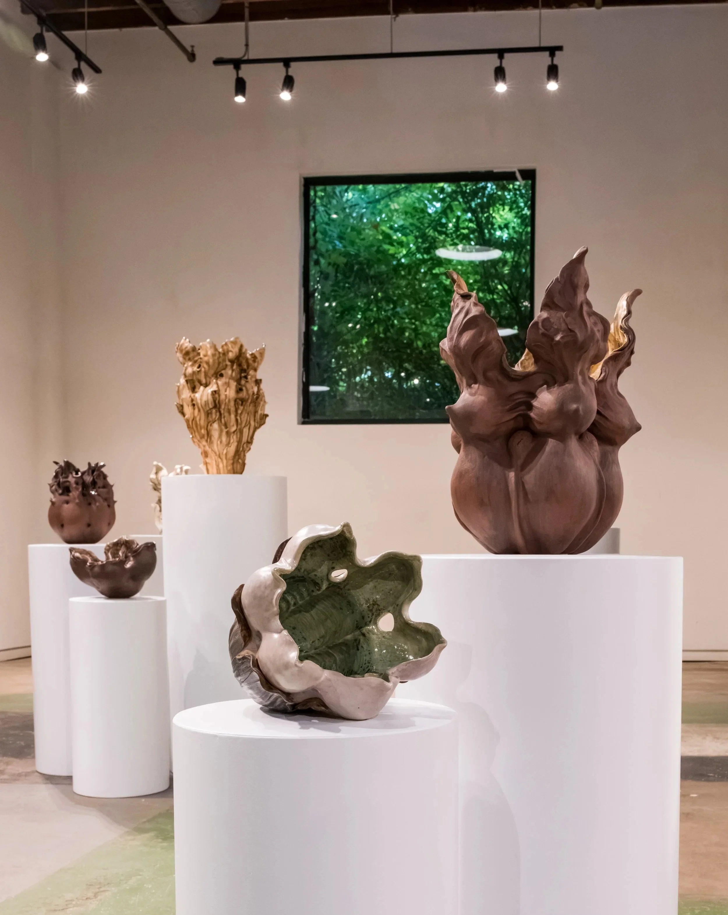Light Eaters at Echo Contemporary