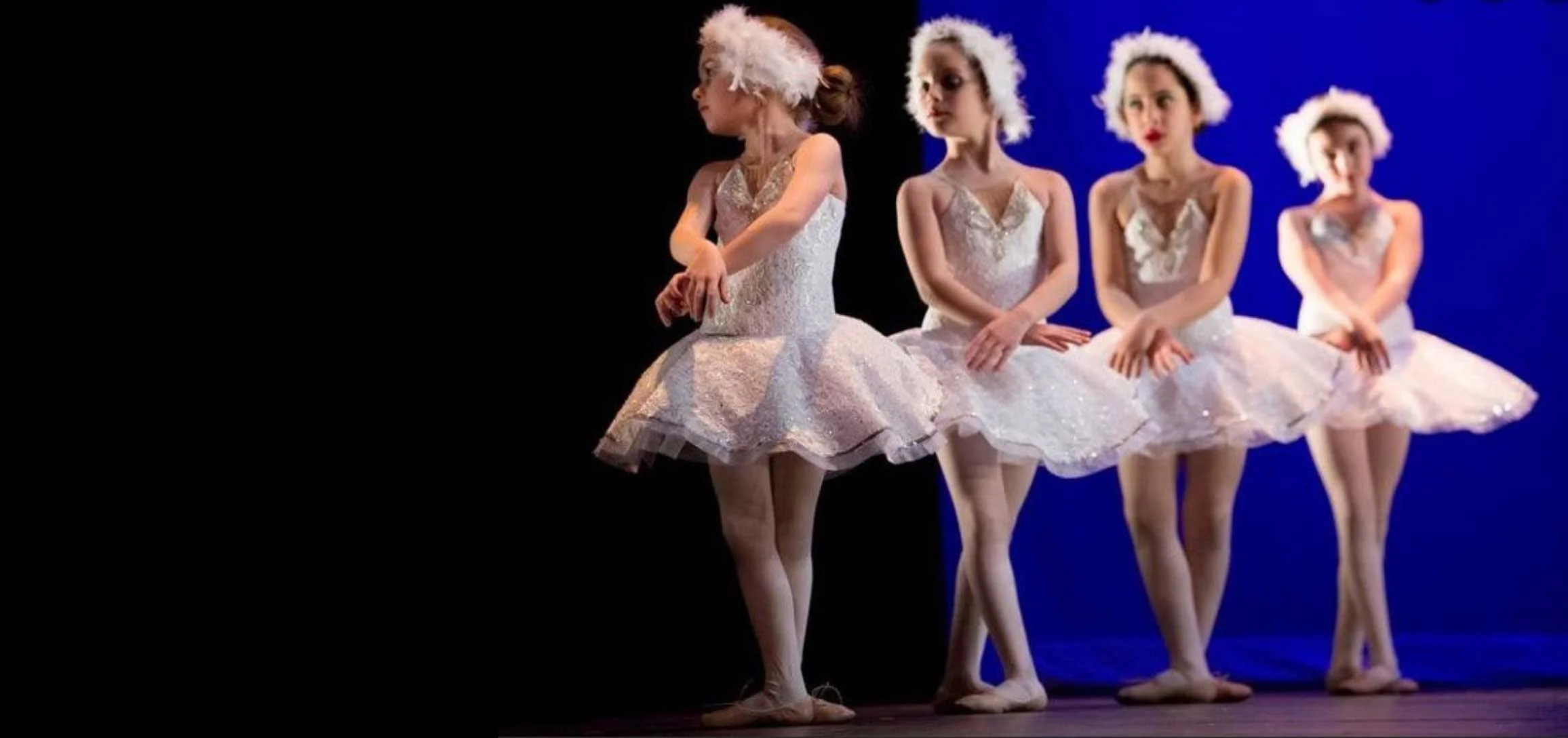 Dancing Crane Company - Georgian Cultural Center