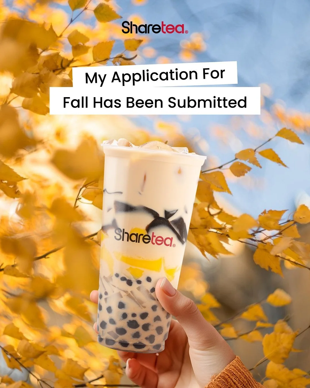 My application for fall has been submitted. ✅
Cozy hoodie? Check. Warm boba in hand? Double check.
It’s officially Sharetea season 🧋🍁
Scroll for fall feels, then tell us —
My Fall Starter Pack = ______ + Sharetea.
What’s yours?