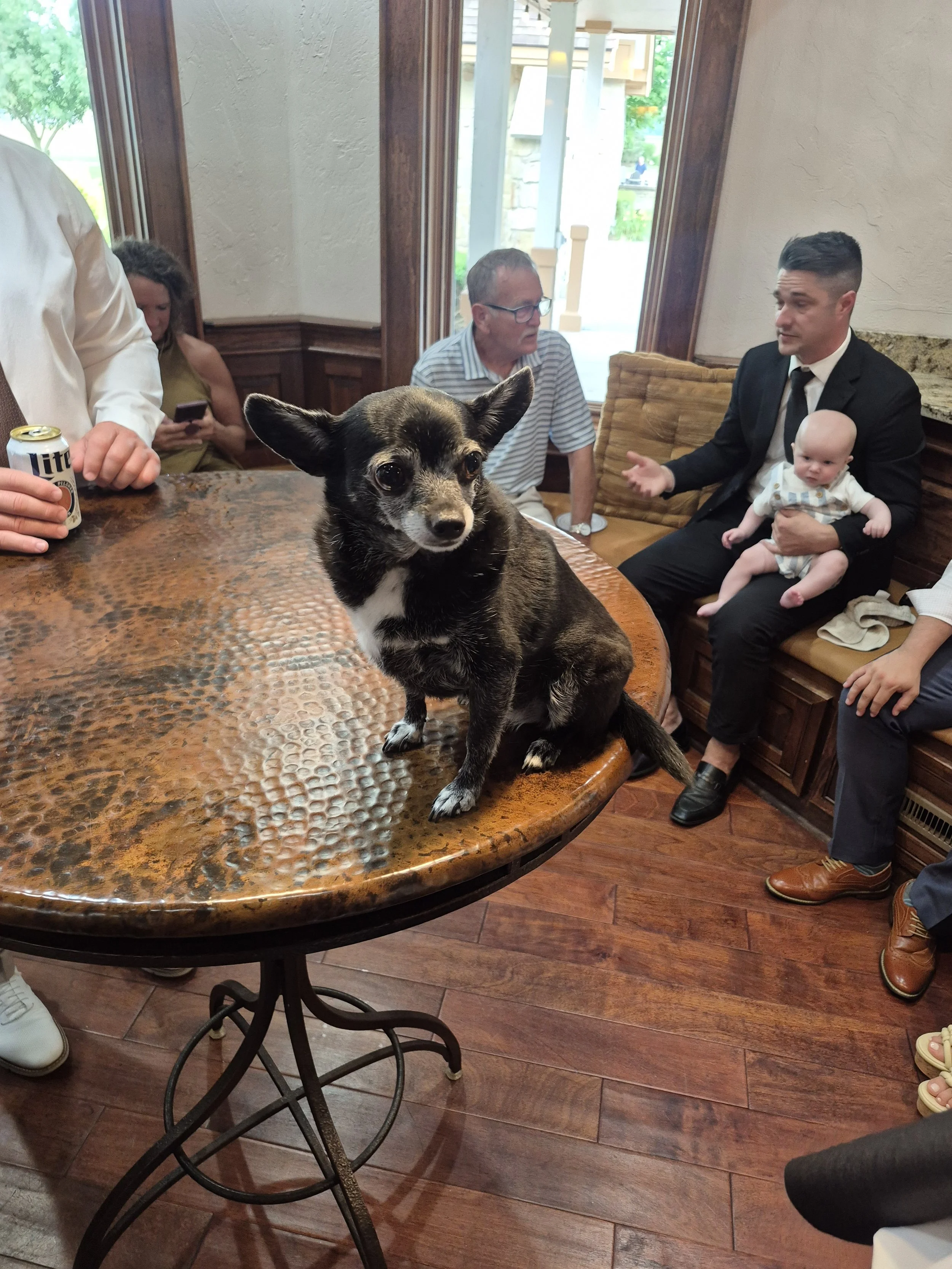 Central Indiana wedding venue | Outdoor Pet friendly wedding venue