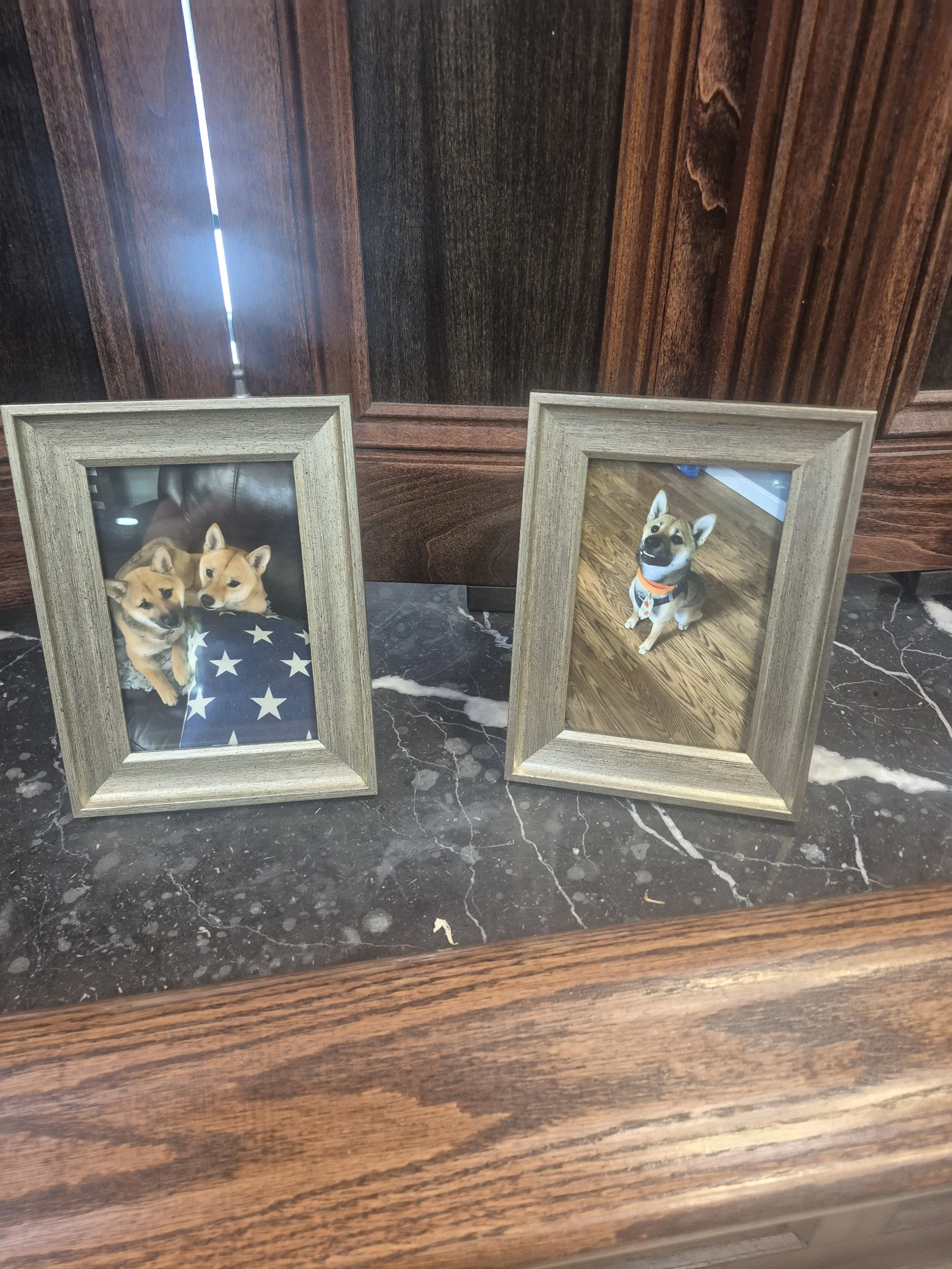 Indoor Pet friendly wedding venue bar