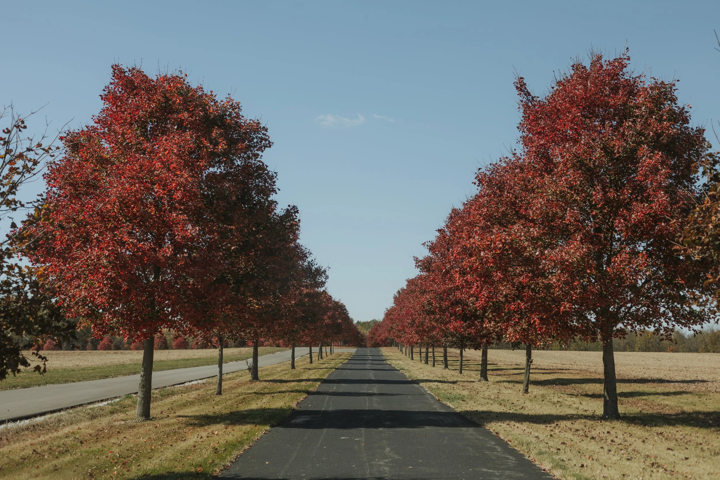 Fall Outdoor Wedding Photo Location Indiana