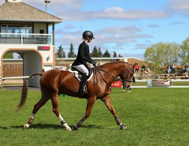 285212238_326851079625012_6655090753453155023_n (1).jpg