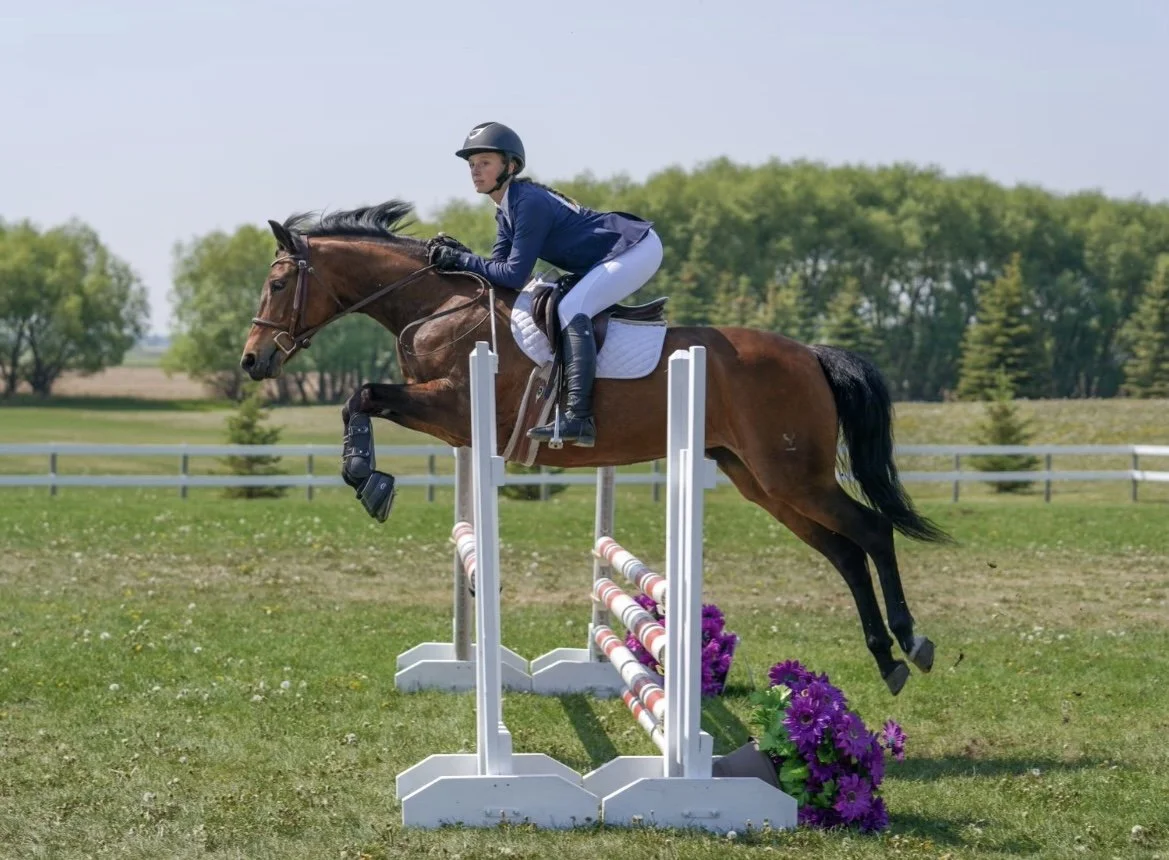 A girl riding a brown horse over a jump in a showjumping competition. There is green grass and purple flowers around the jump. The girl is wearing white breeches and a blue show coat.