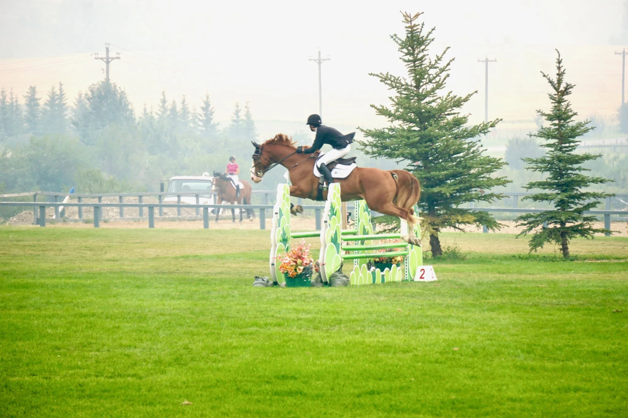 A equestrian rider on a horse jumping a green jump in the smoke at Amberlea Meadows. The jump is part of a showjumping course during a competition.