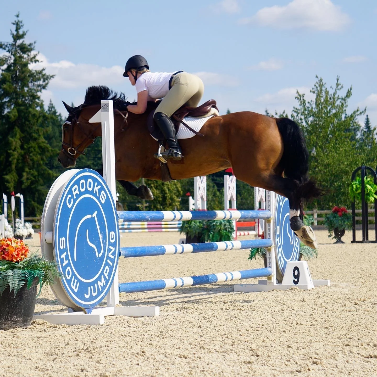 Alyssa and Stonecountry's Super Nova