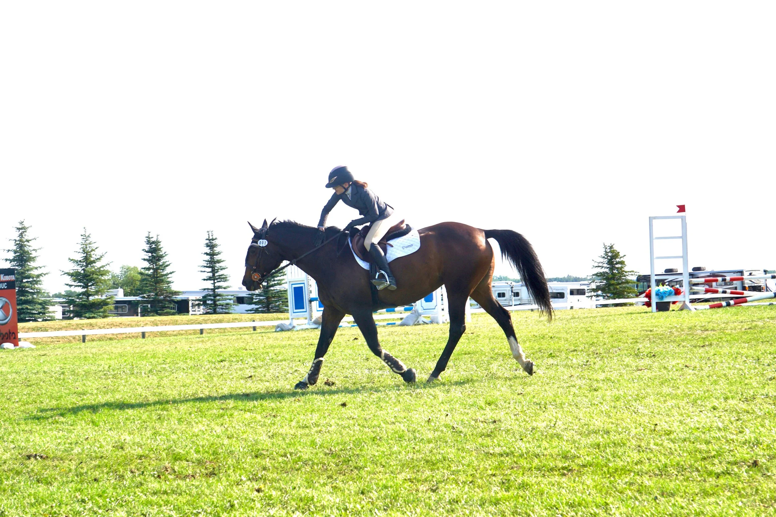 Maddie and It's Your Lecky Day