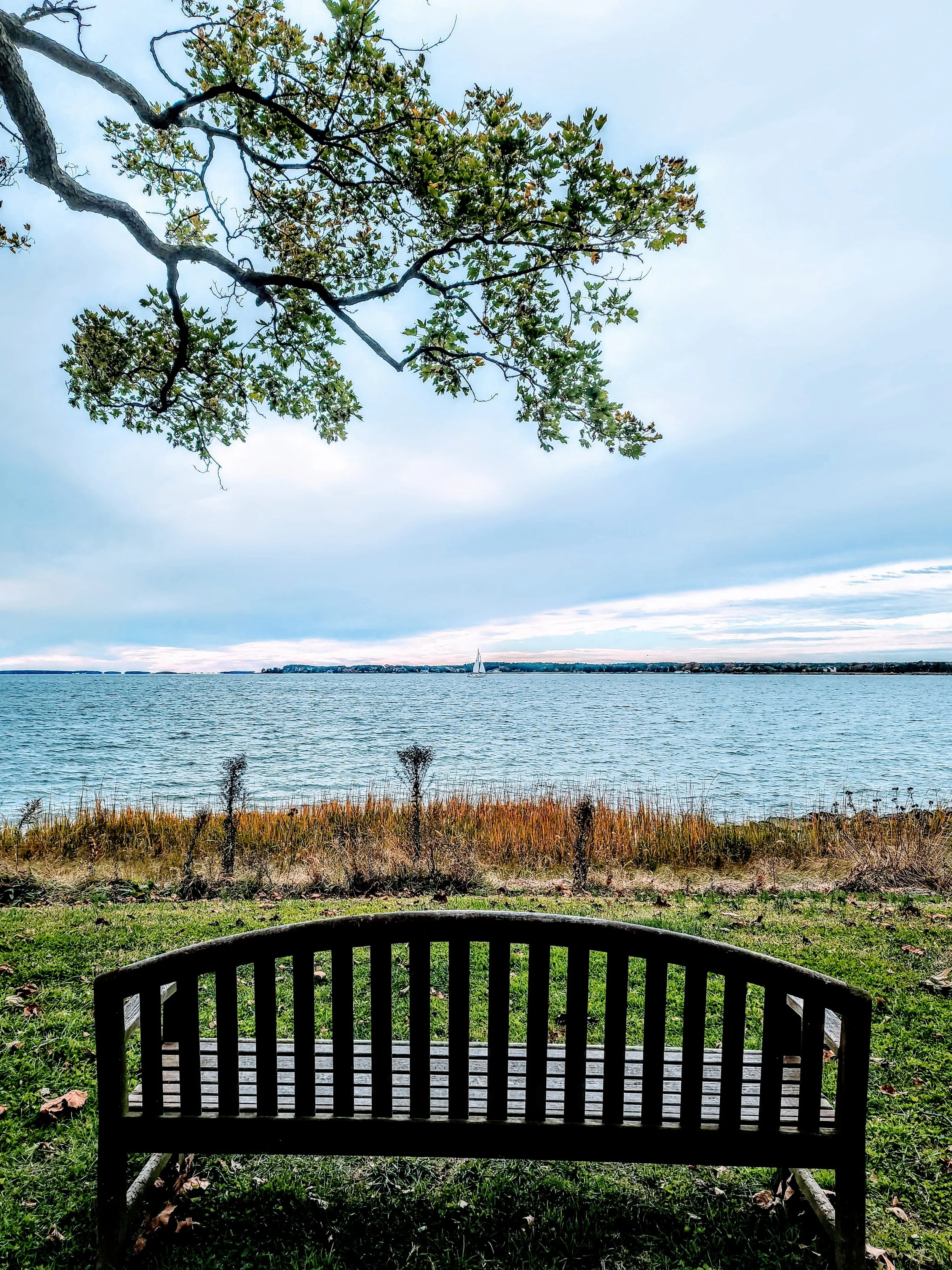 Explore Oxford MD | BMoreRosie.com