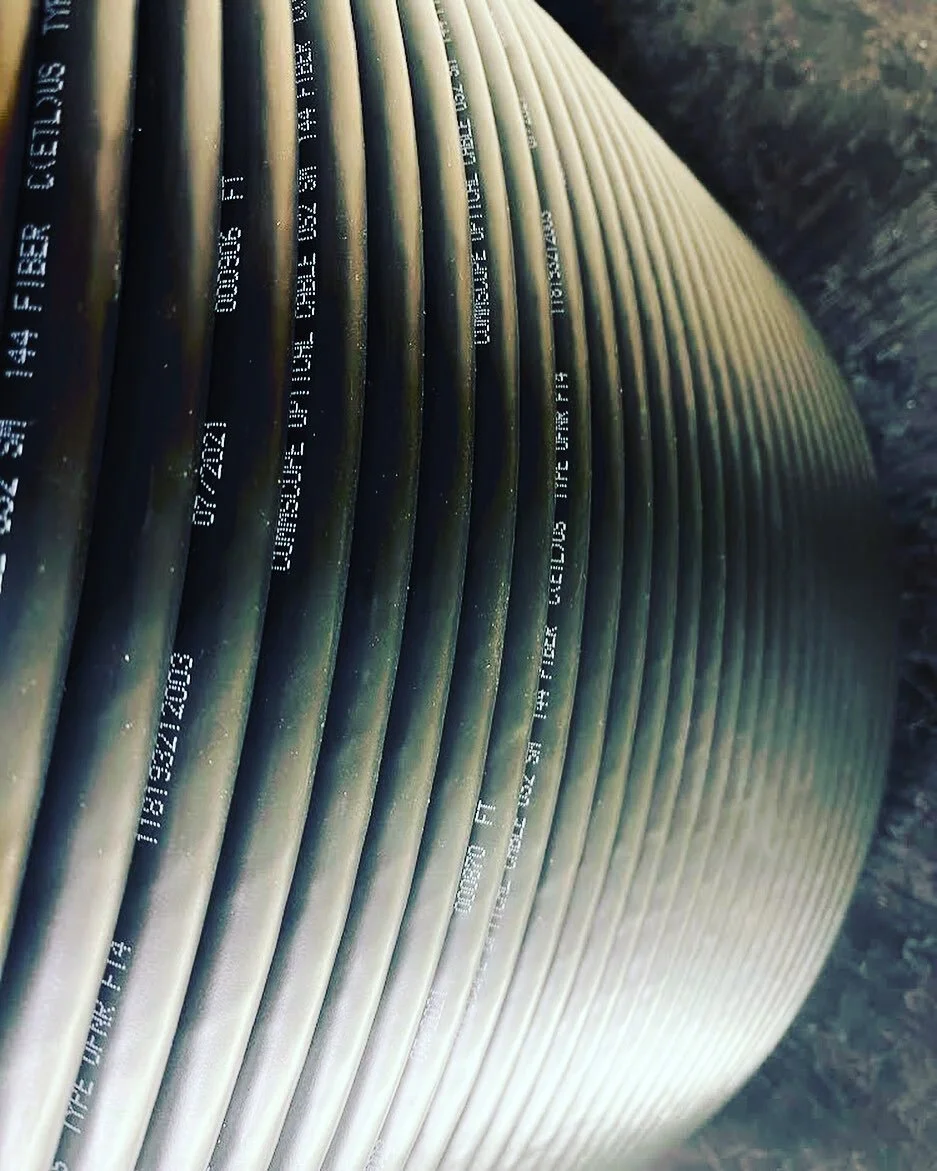 Feel the Reel