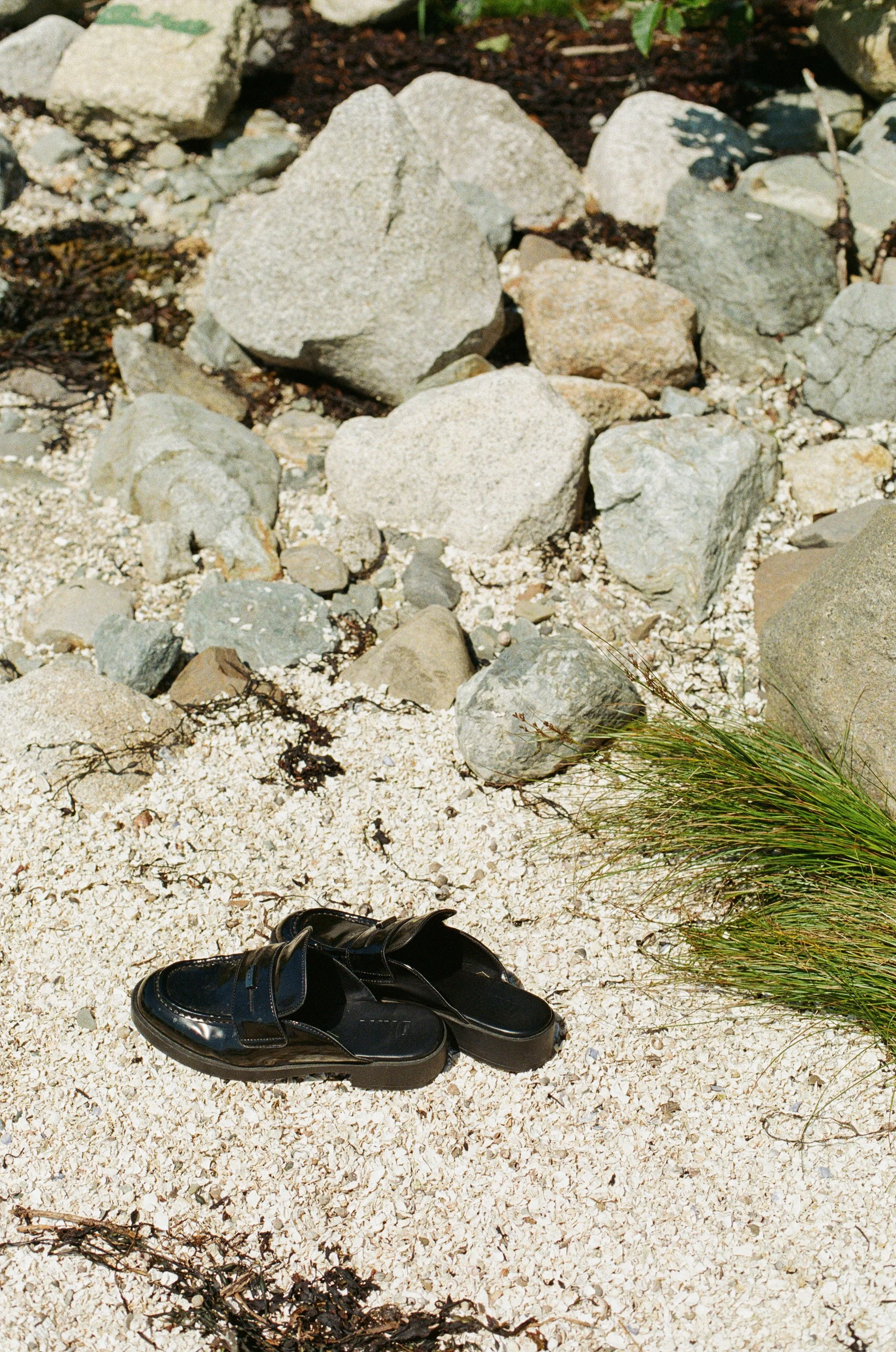 amelia&travis_brooklin_maine_wedding-20.jpg