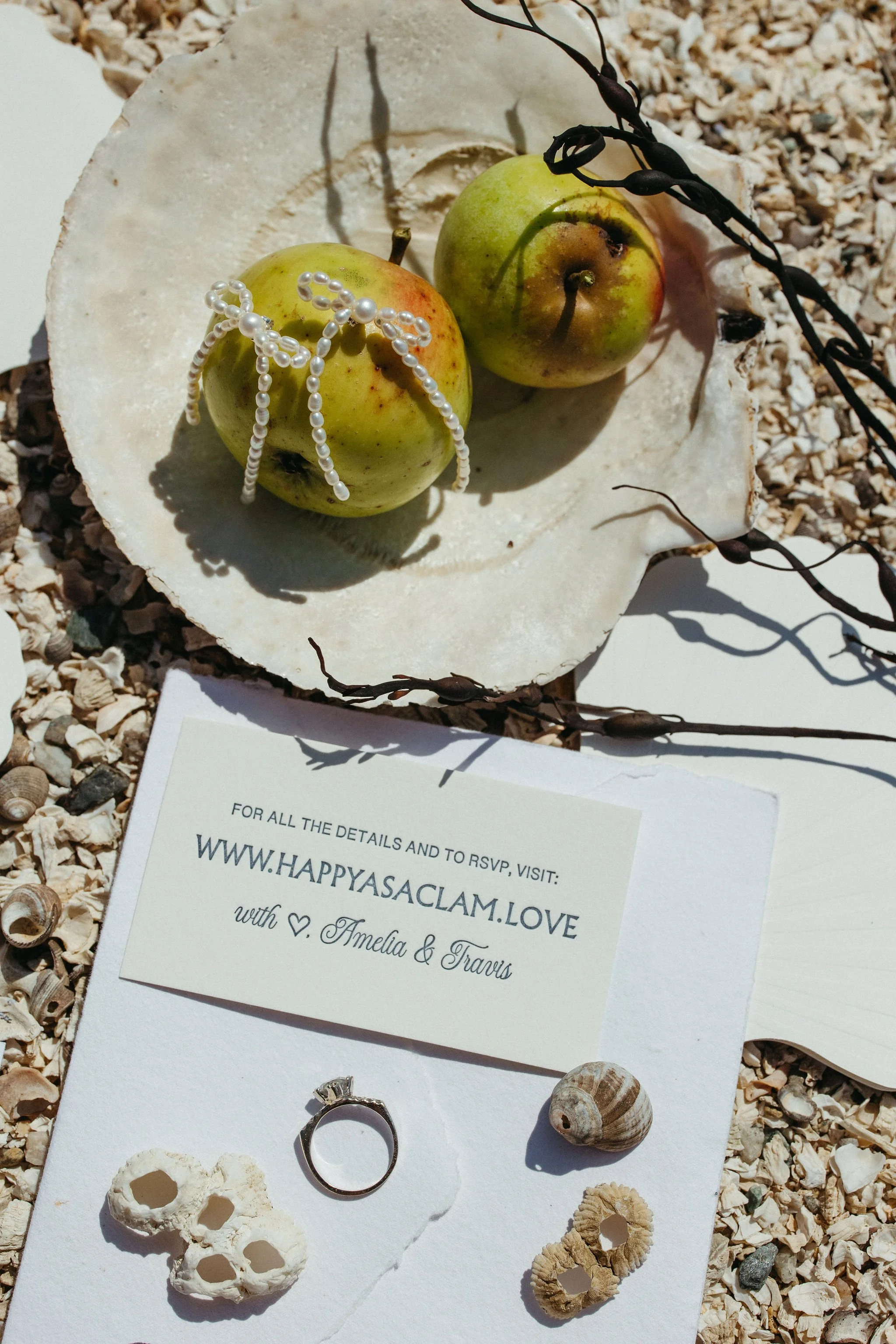 amelia&travis_brooklin_maine_wedding-53.jpg