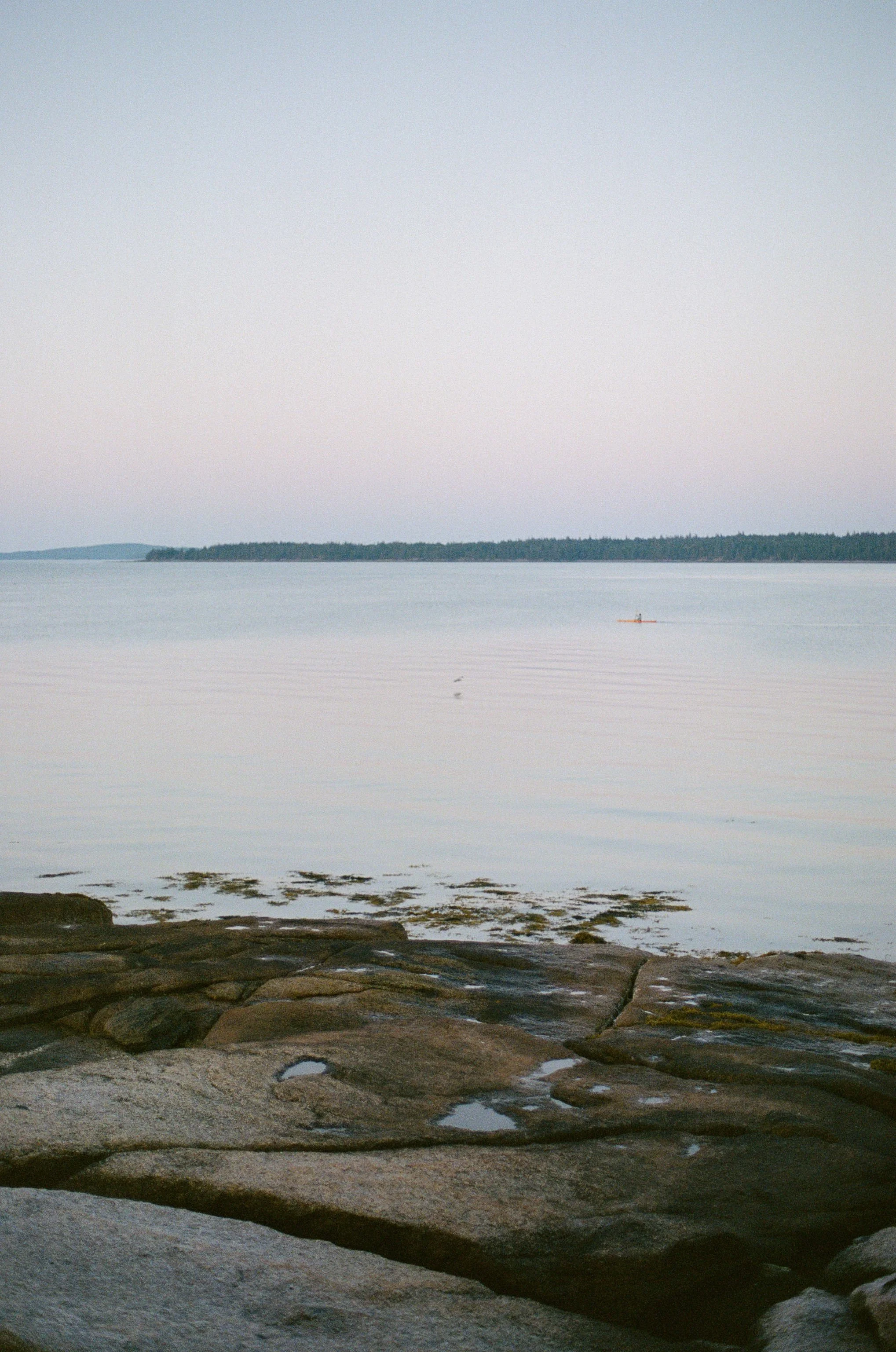 amelia&travis_brooklin_maine_wedding-443.jpg