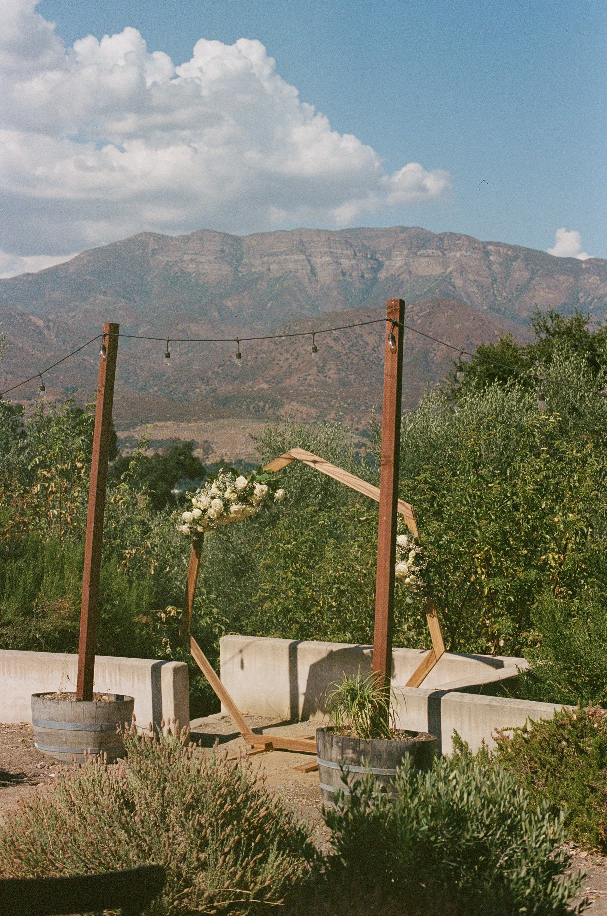 alexi&eduardo_ojaiwedding-217.jpg